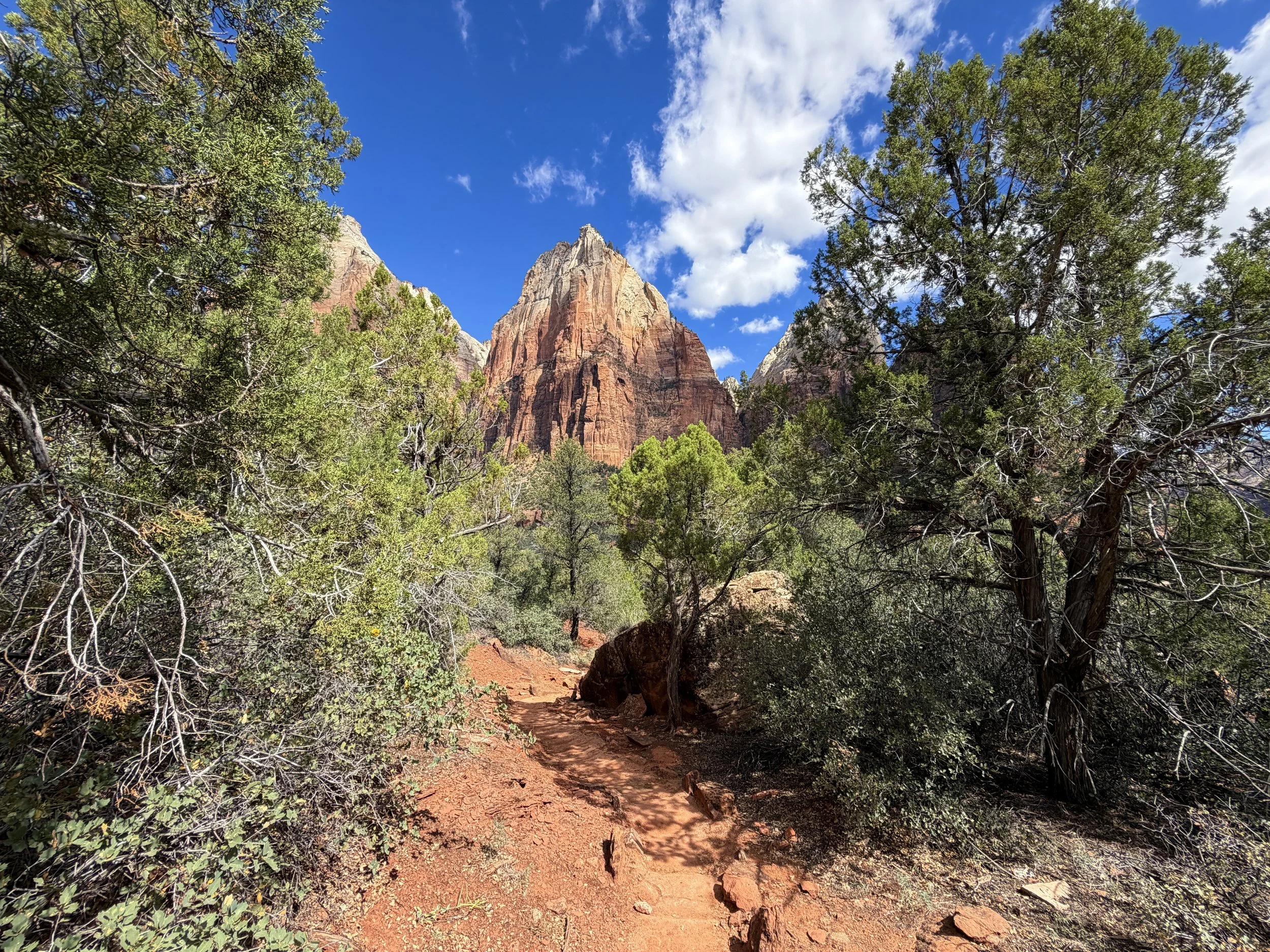 Sand Bench Trail Zion National Park Utah