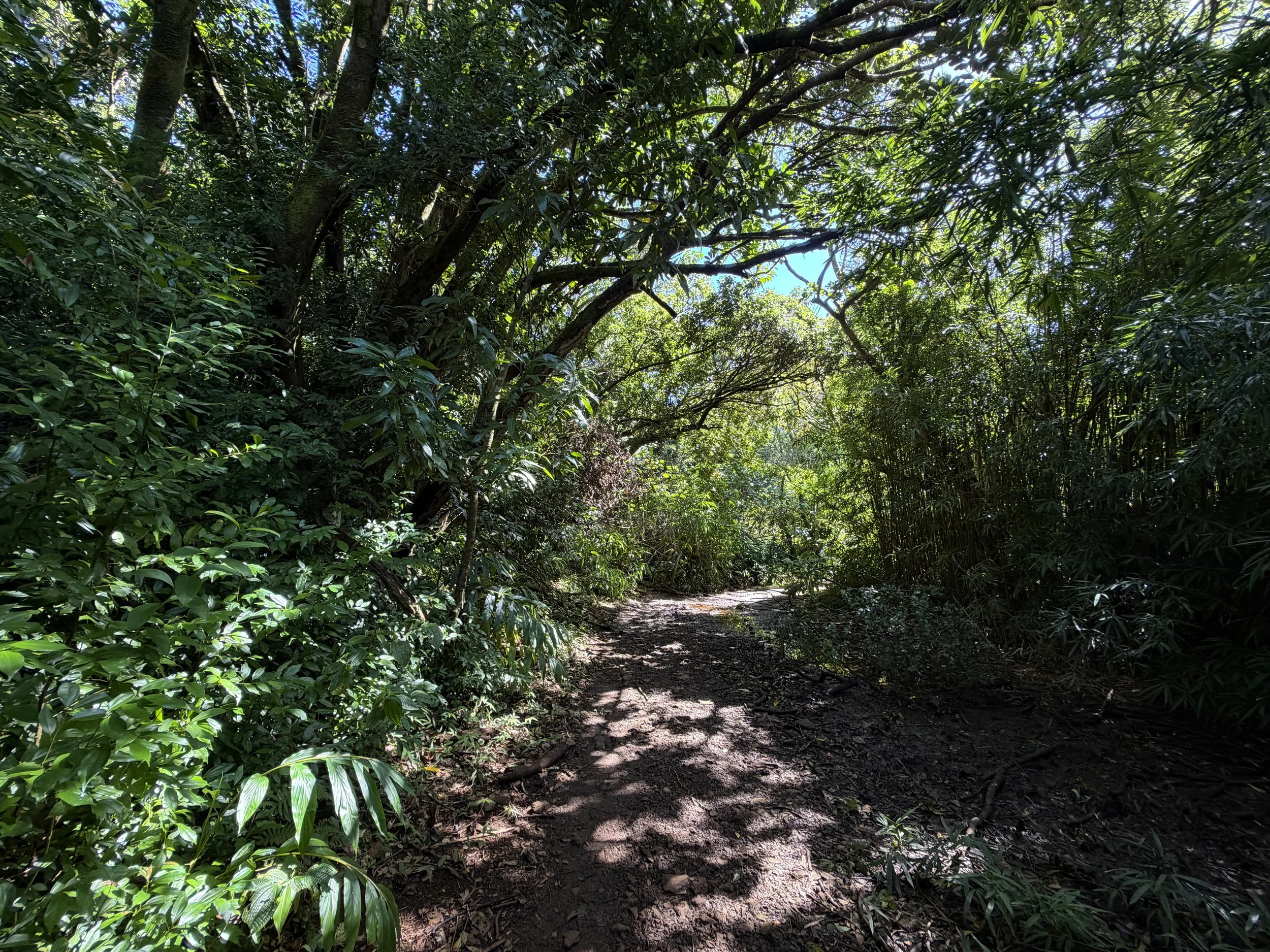 Lulumahu Falls Trail Oahu Hawaii