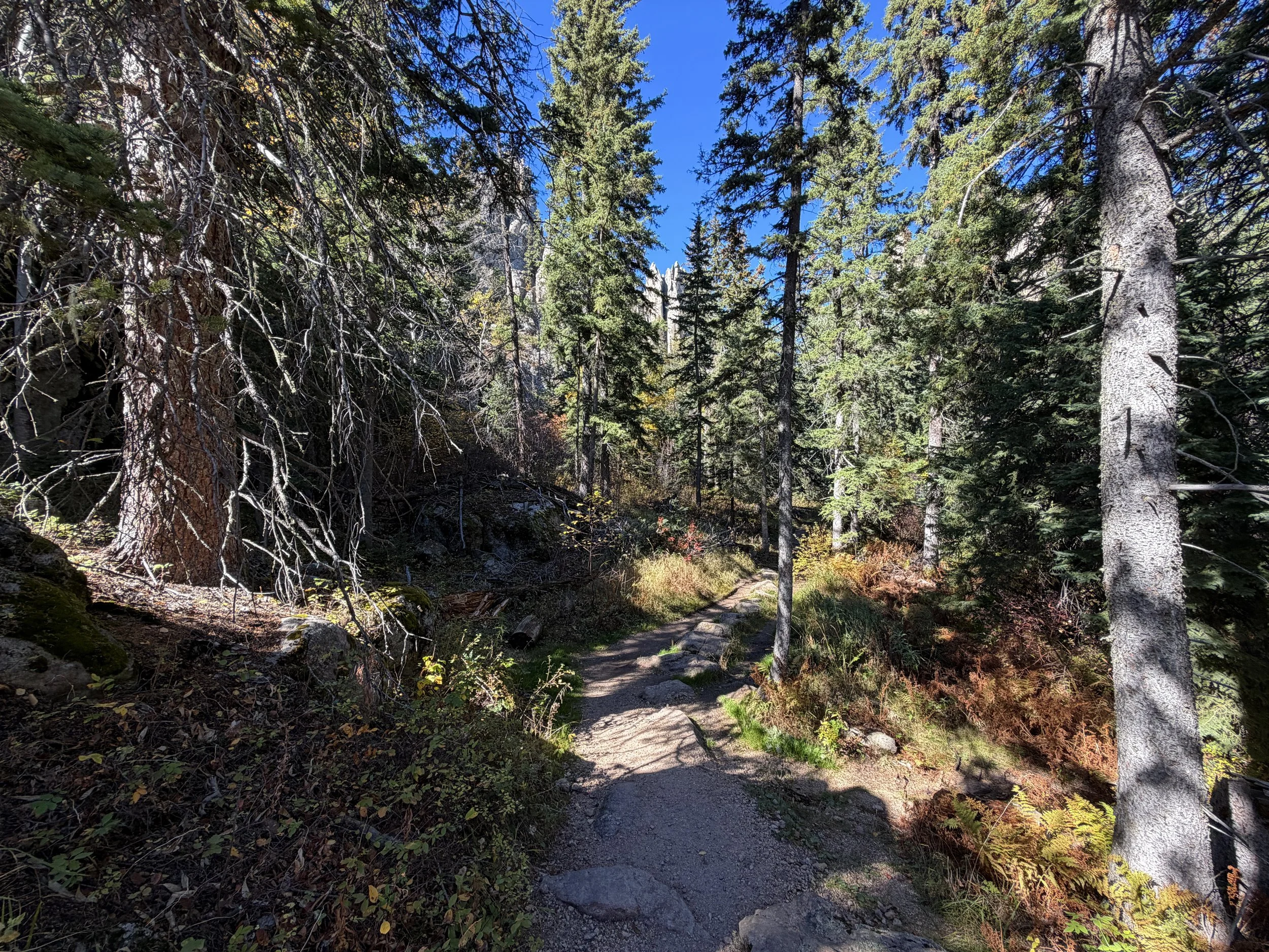 Cathedral Spires Trail Custer State Park Black Hills South Dakota