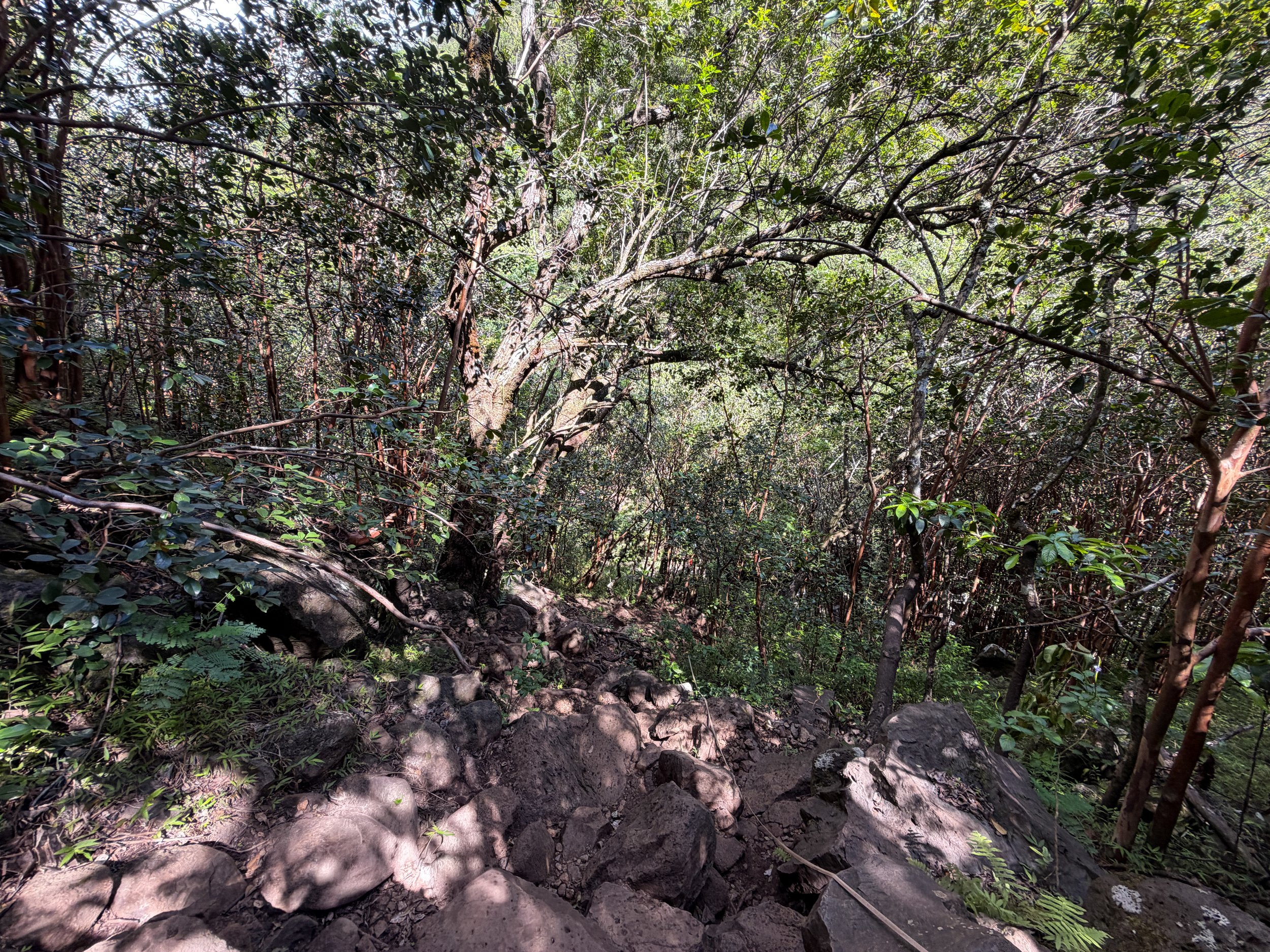 Waimano Falls Trail Ropes Oahu Hawaii