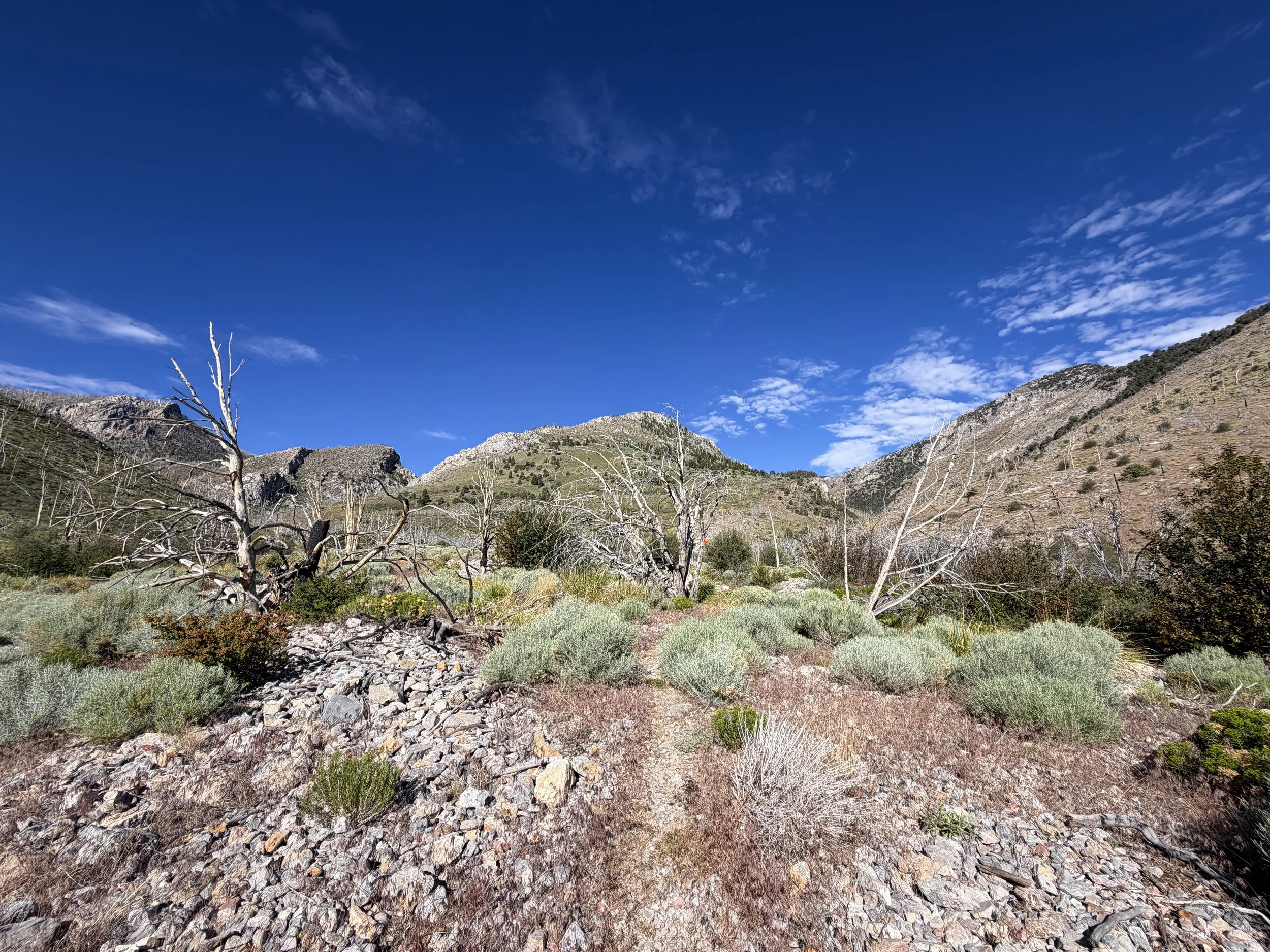 Lexington Arch Hike Great Basin National Park Nevada