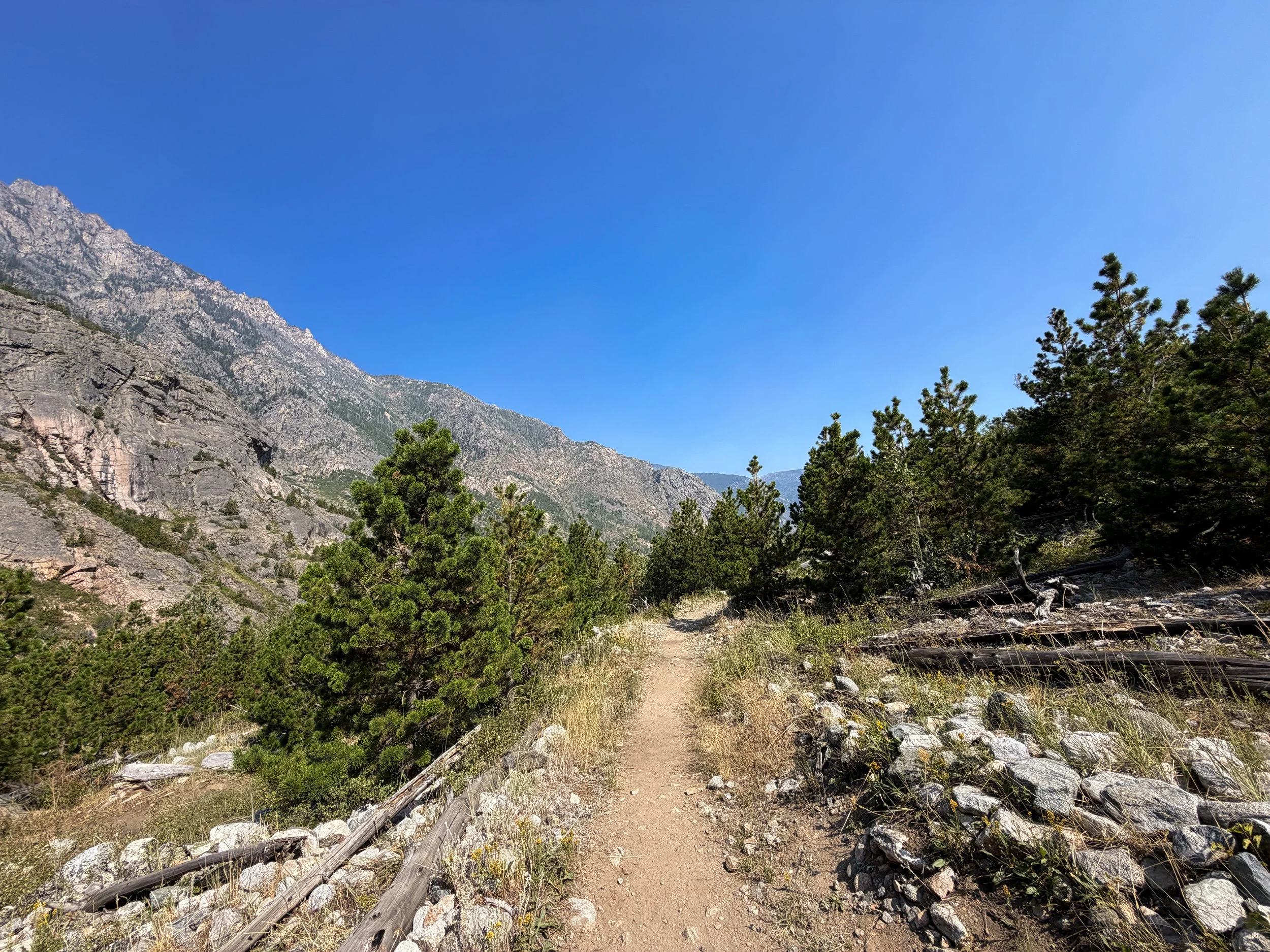 Beaten Path Trail Beartooth Mountains Montana