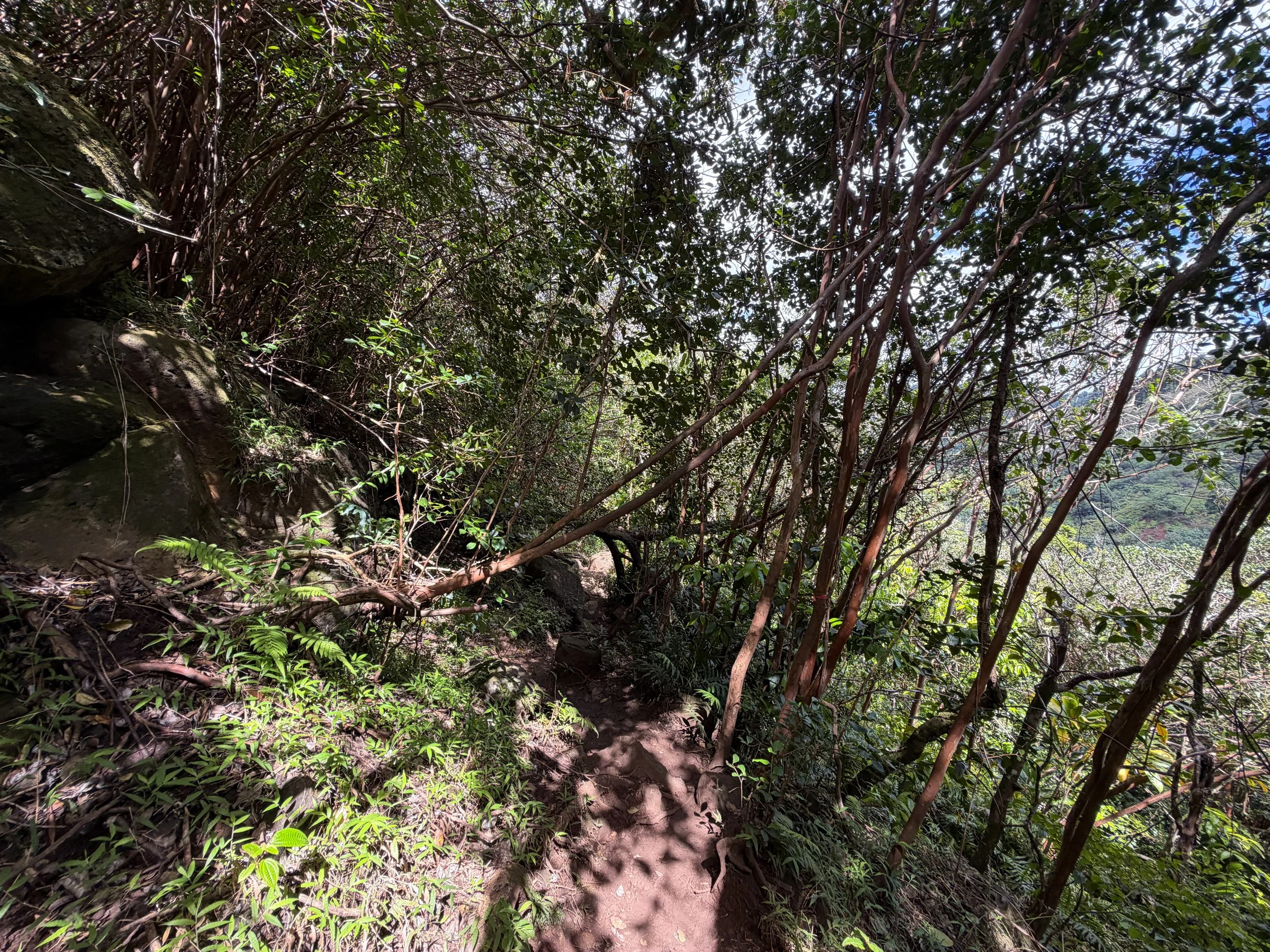 Waimano Pools Trail Oahu Hawaii