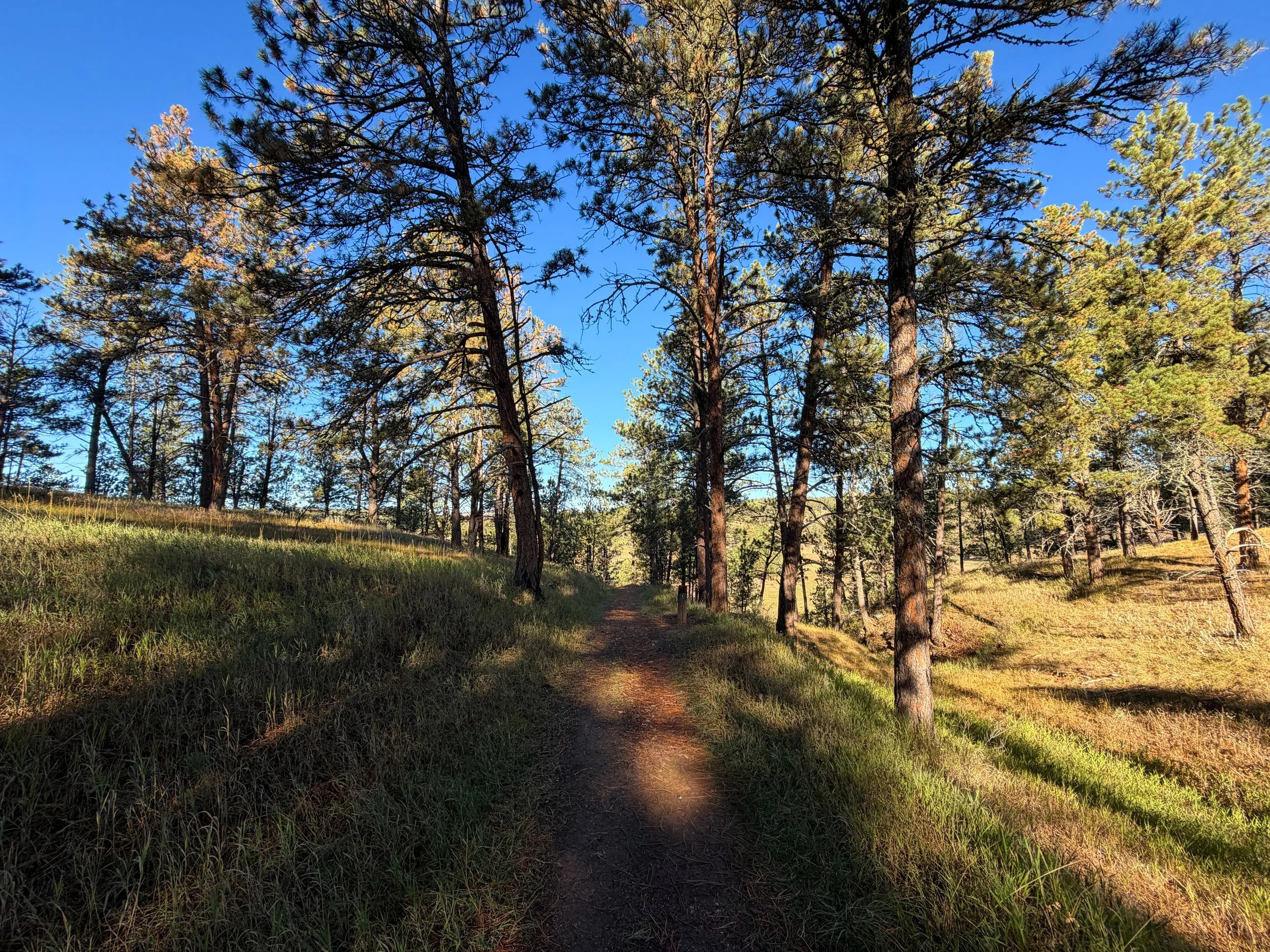 Cold Brook Canyon Trail Wind Cave National Park South Dakota