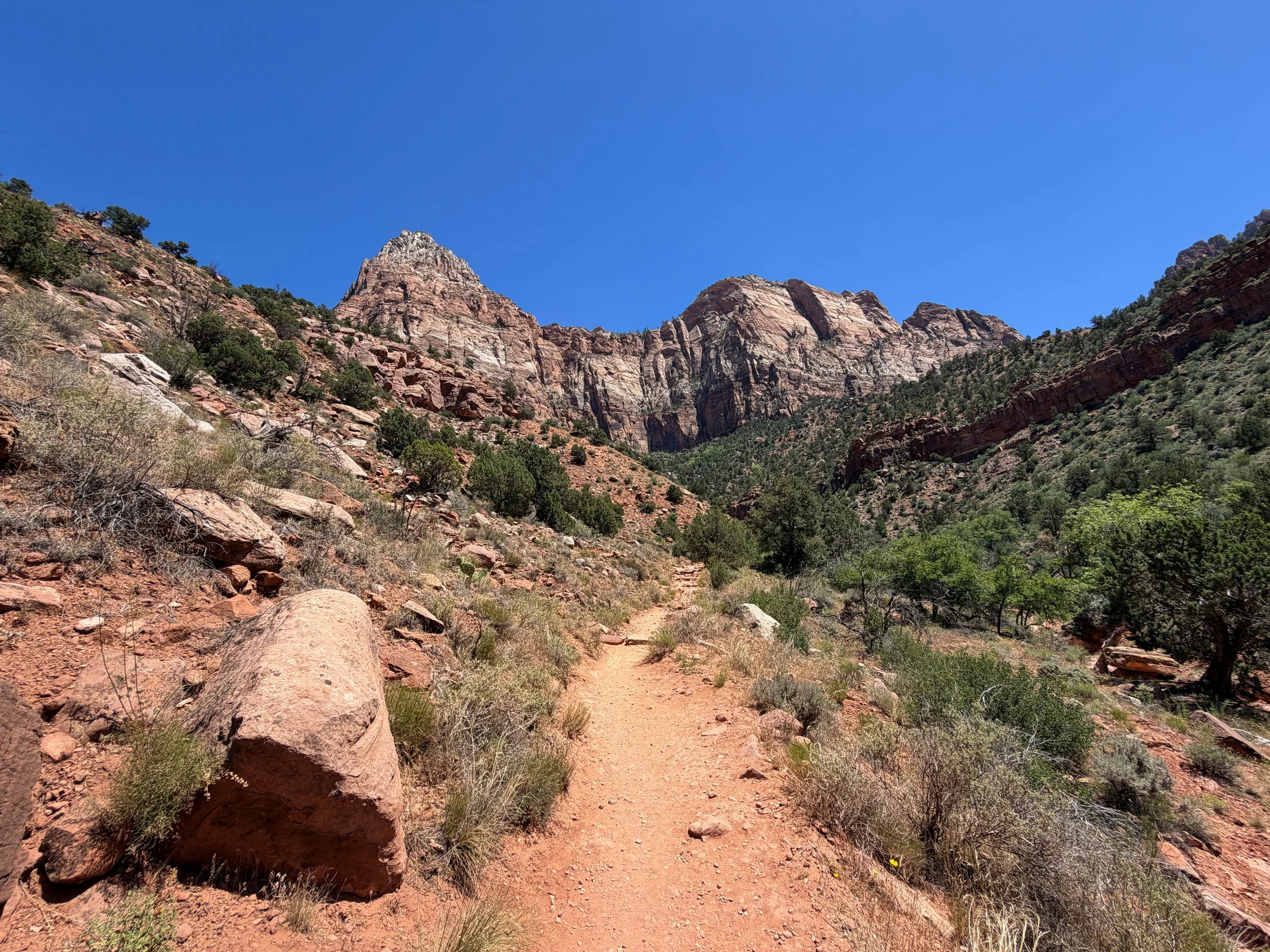 Watchman Hike Zion National Park Utah