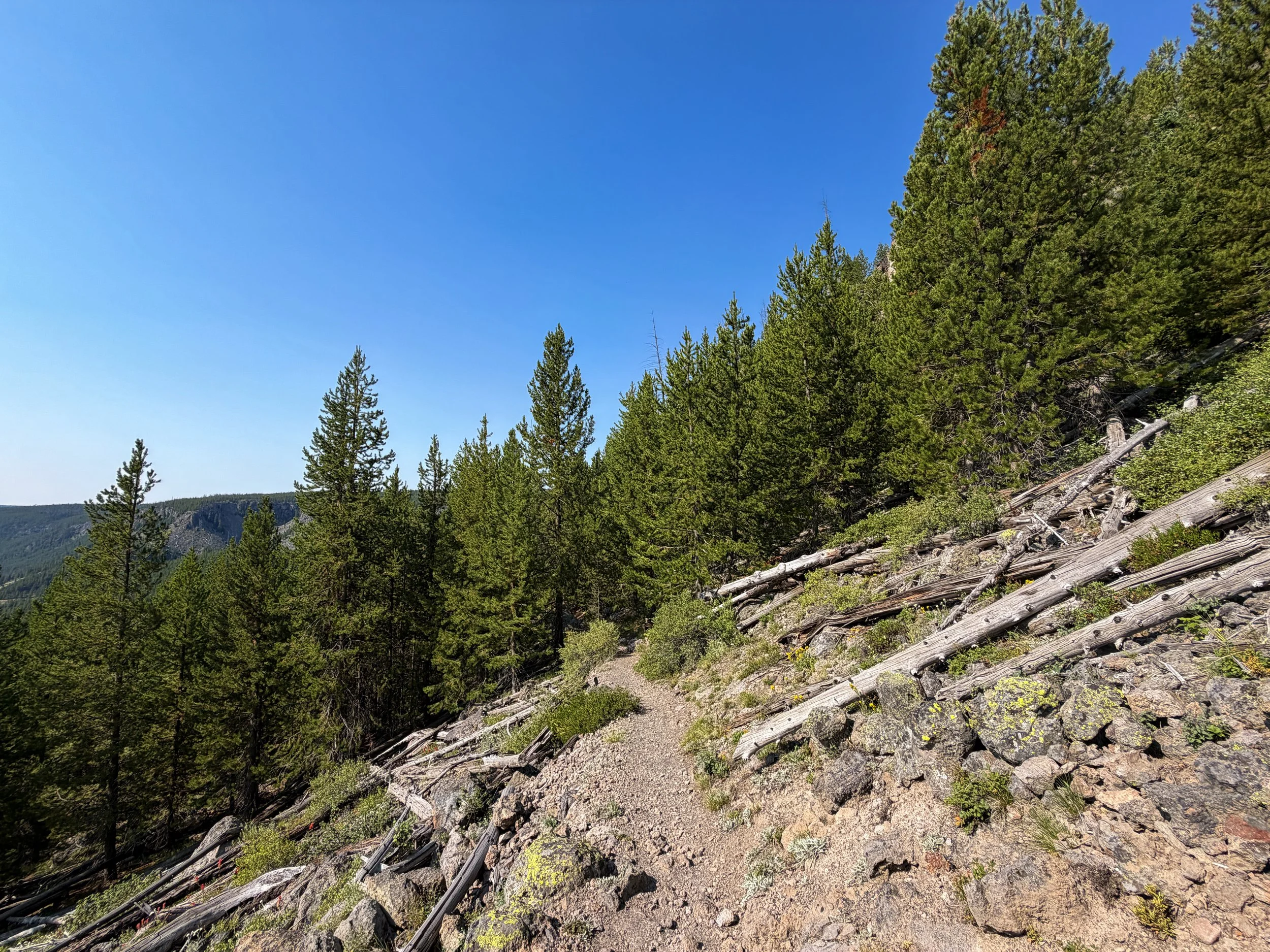 Mystic Falls Trail Yellowstone National Park Wyoming