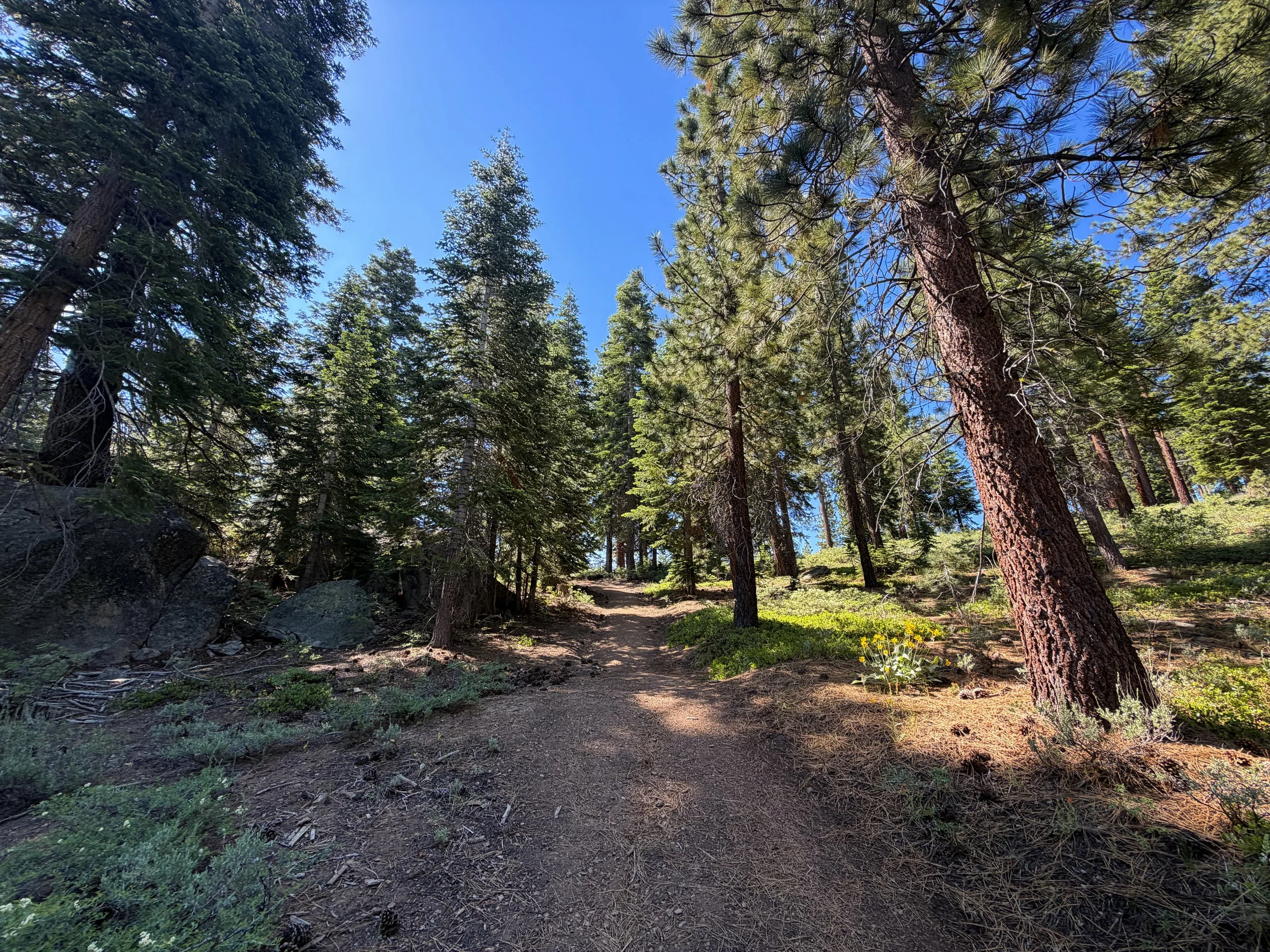Captain Pomin Trail Lake Tahoe Nevada