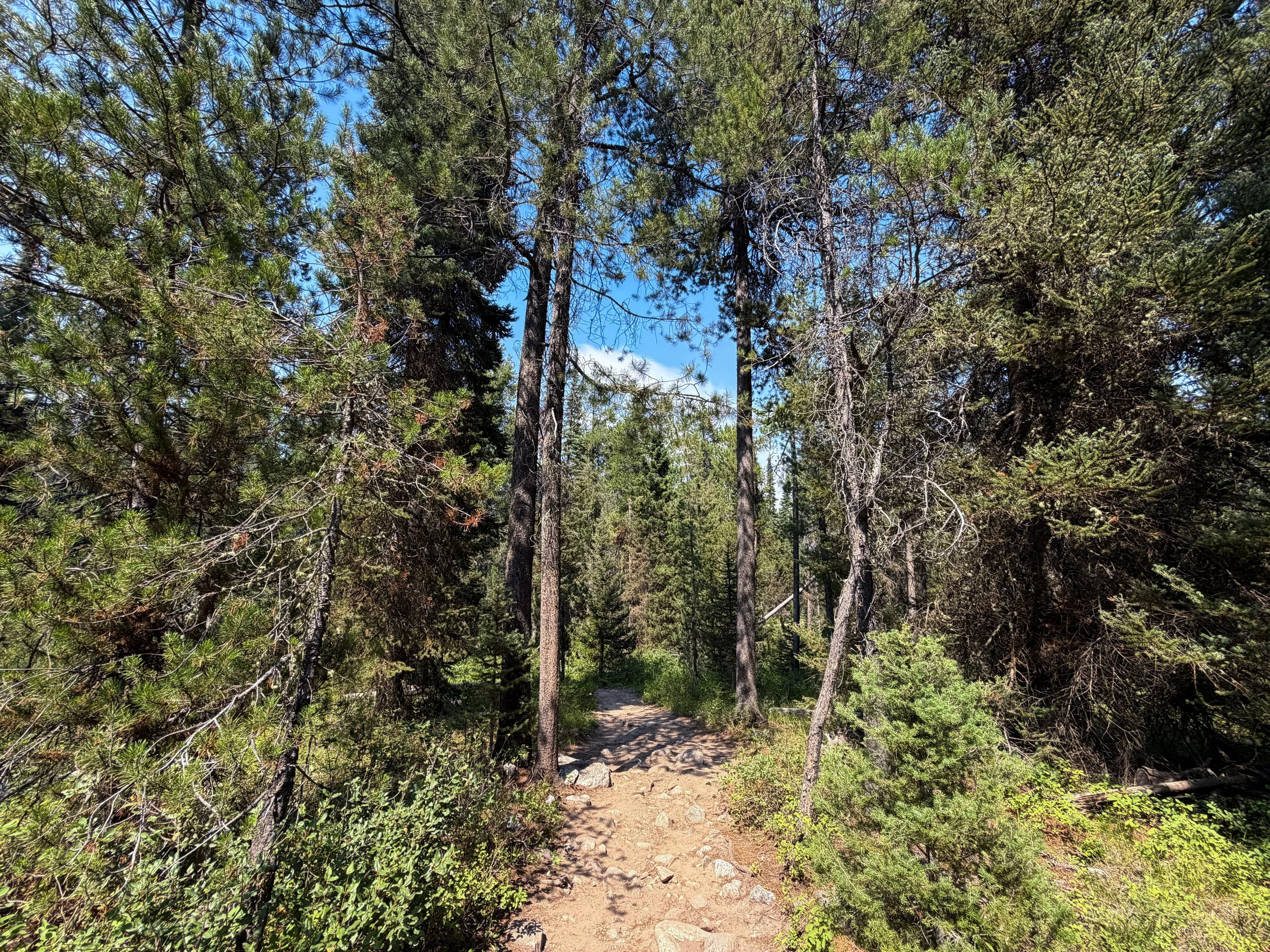 Phelps Lake Loop Trail Grand Teton National Park Wyoming