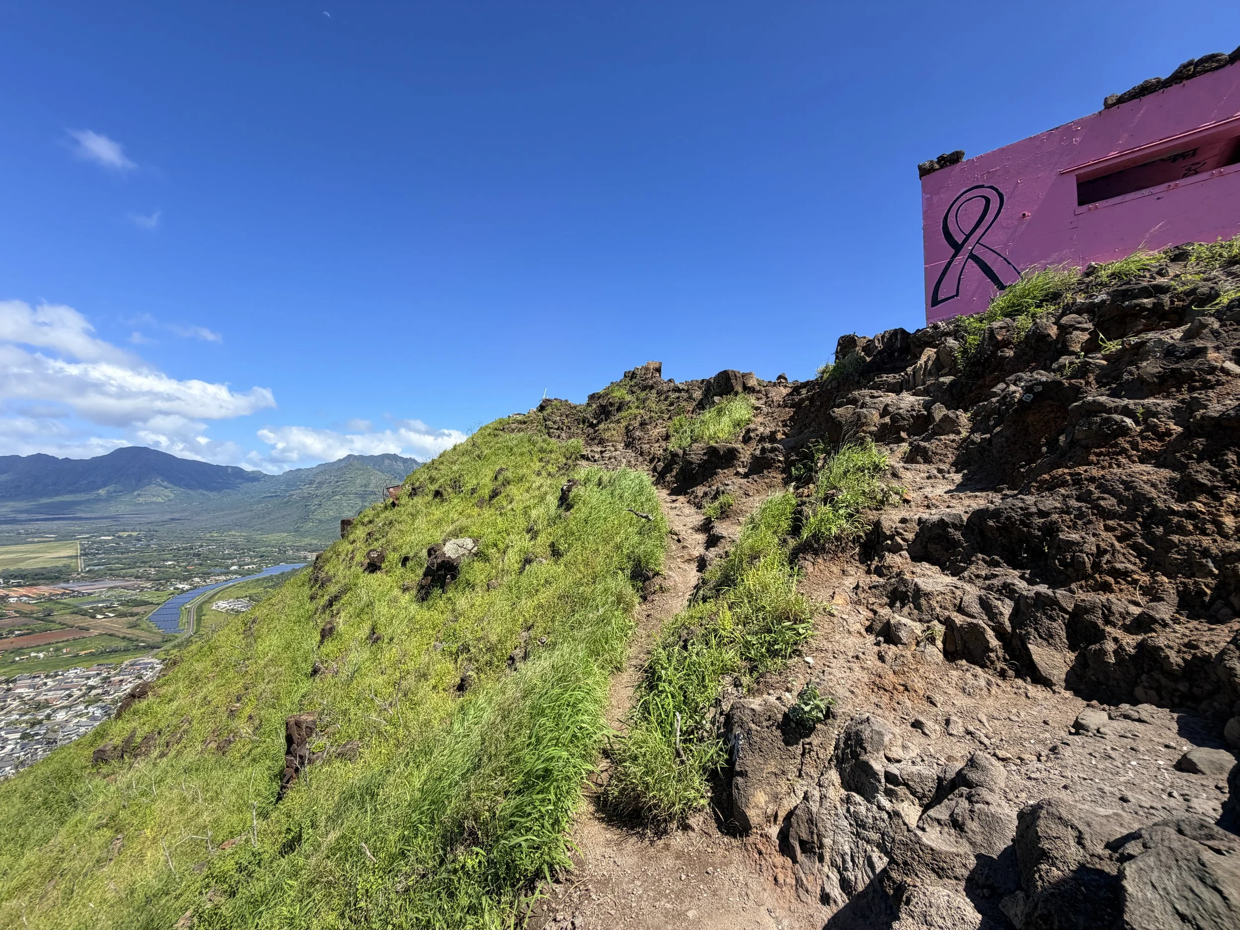 Pink Pillbox Puu O Hulu Oahu Hawaii