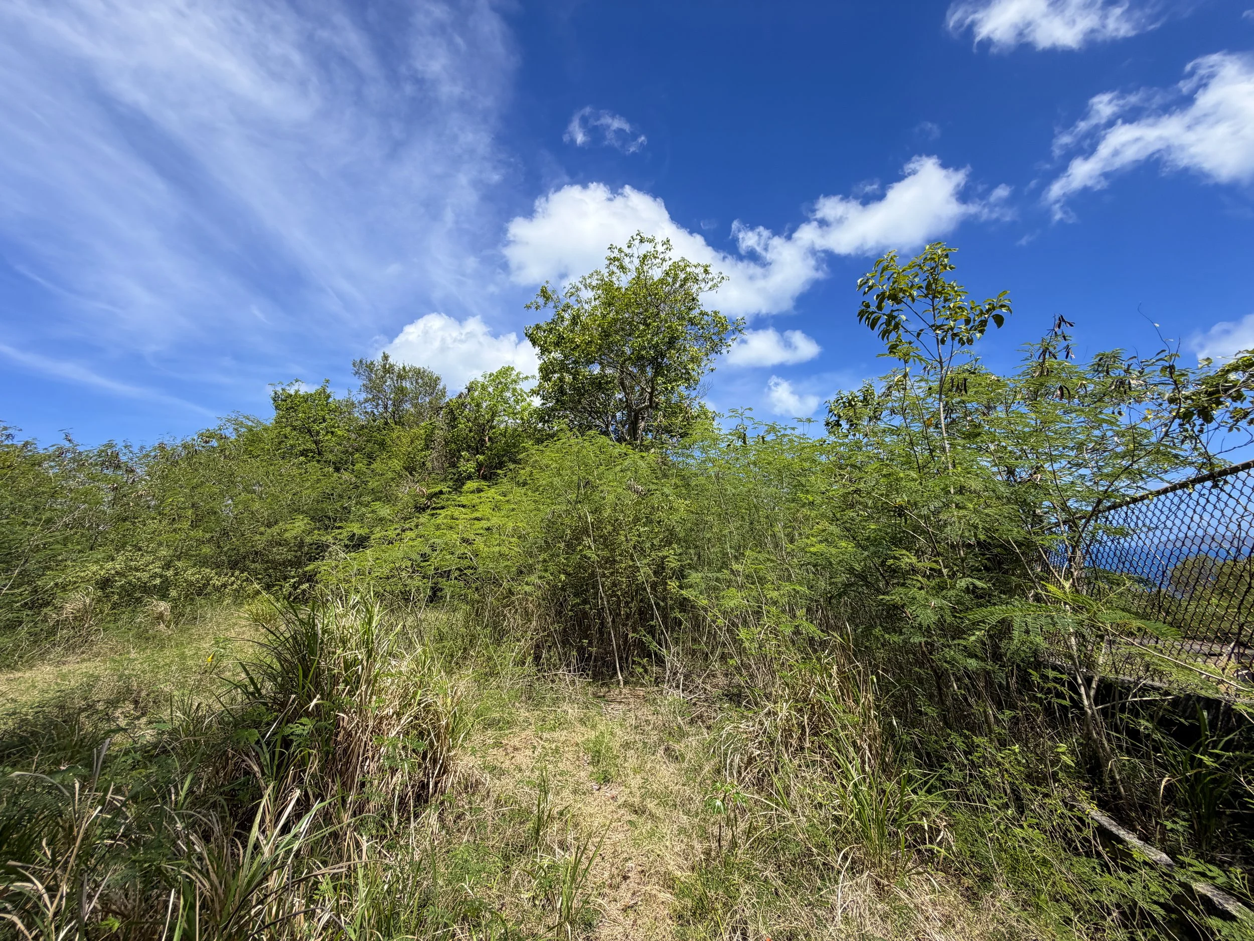 Water Catchment Trail Virgin Islands National Park