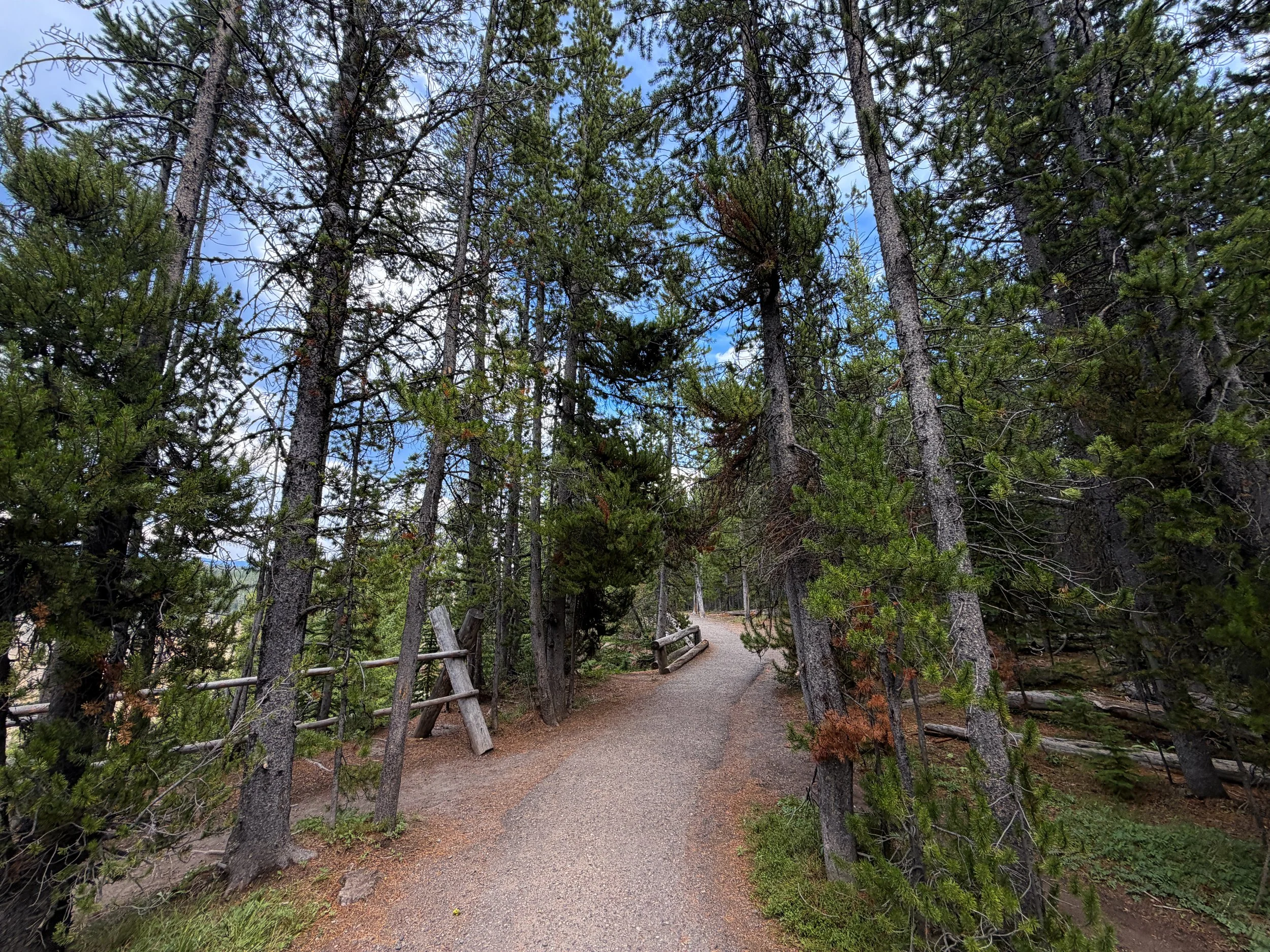 South Rim Hike Yellowstone National Park Wyoming