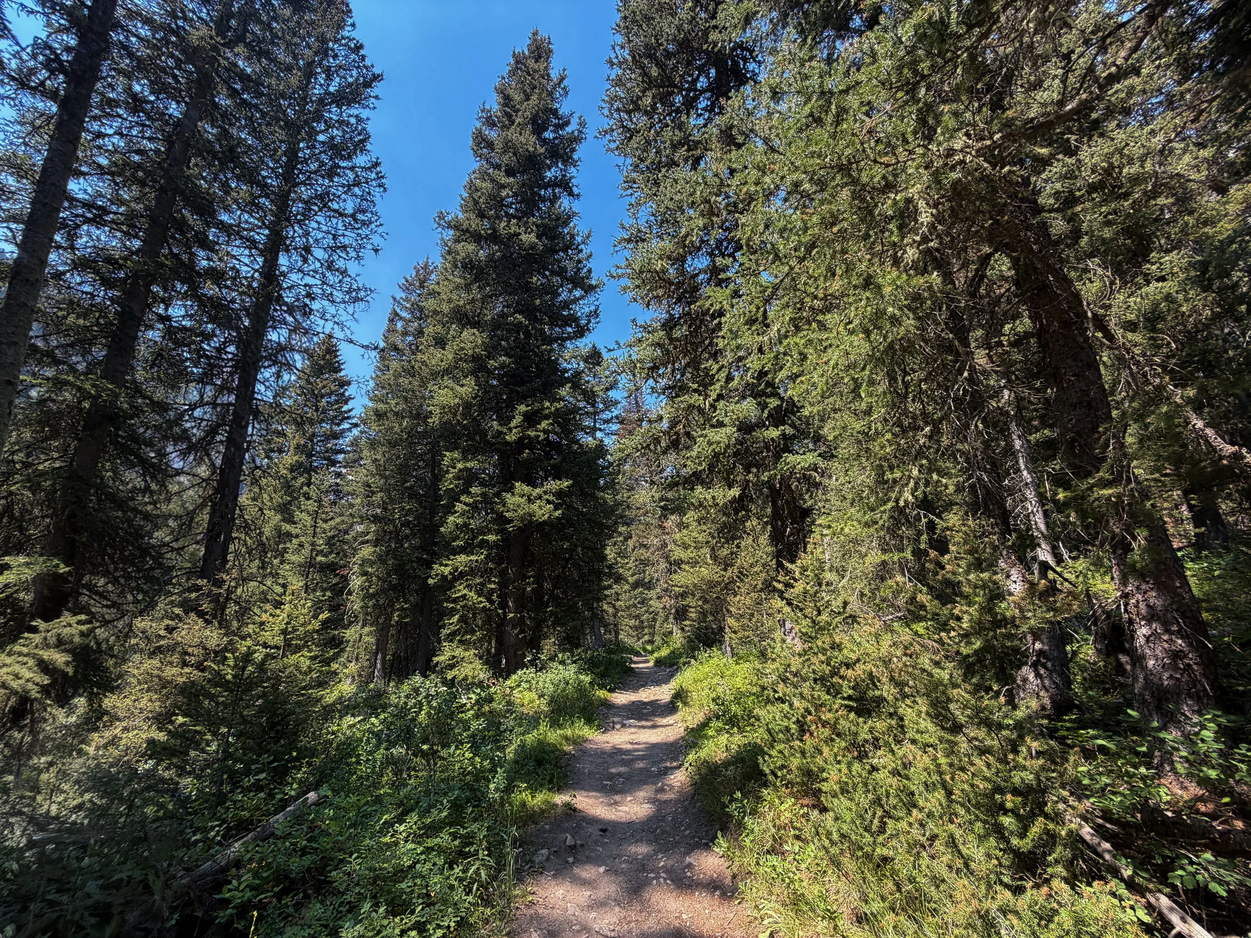 Cascade Canyon Trail Grand Teton National Park Wyoming