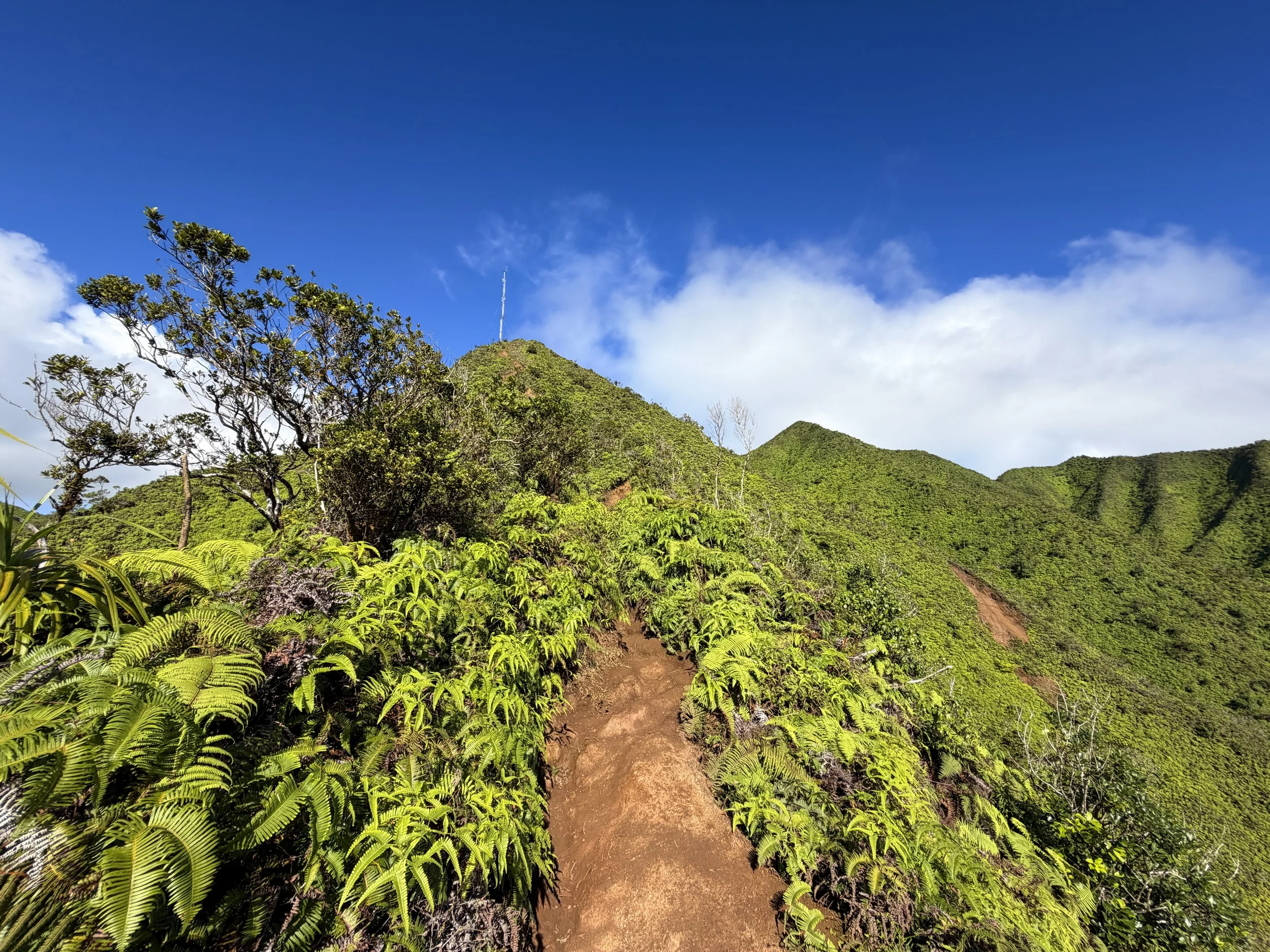 Wiliwilinui Ridge Trail Stairs Oahu Hawaii