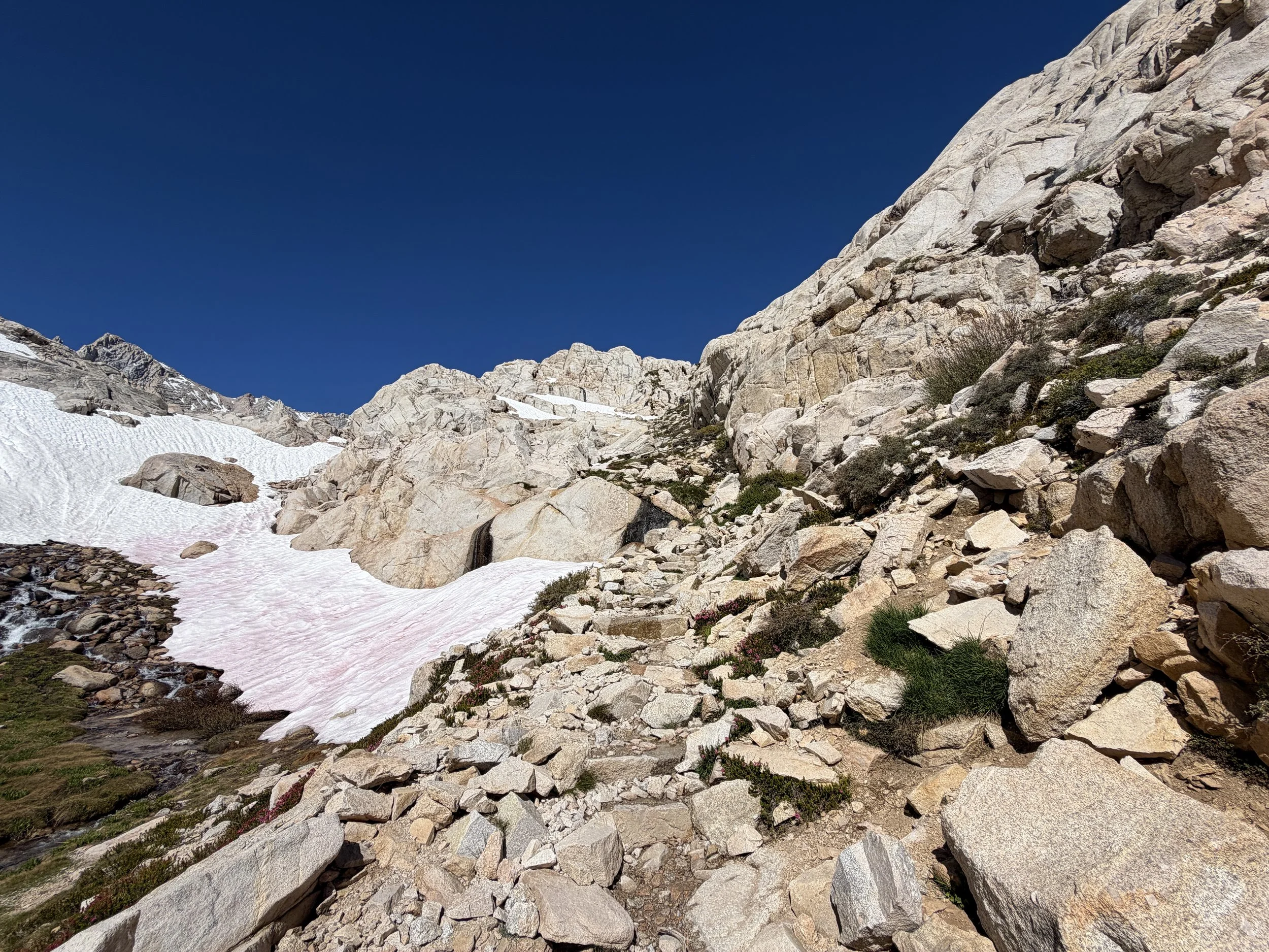 Trailside Meadow Mount Whitney Trail via Lone Pine California
