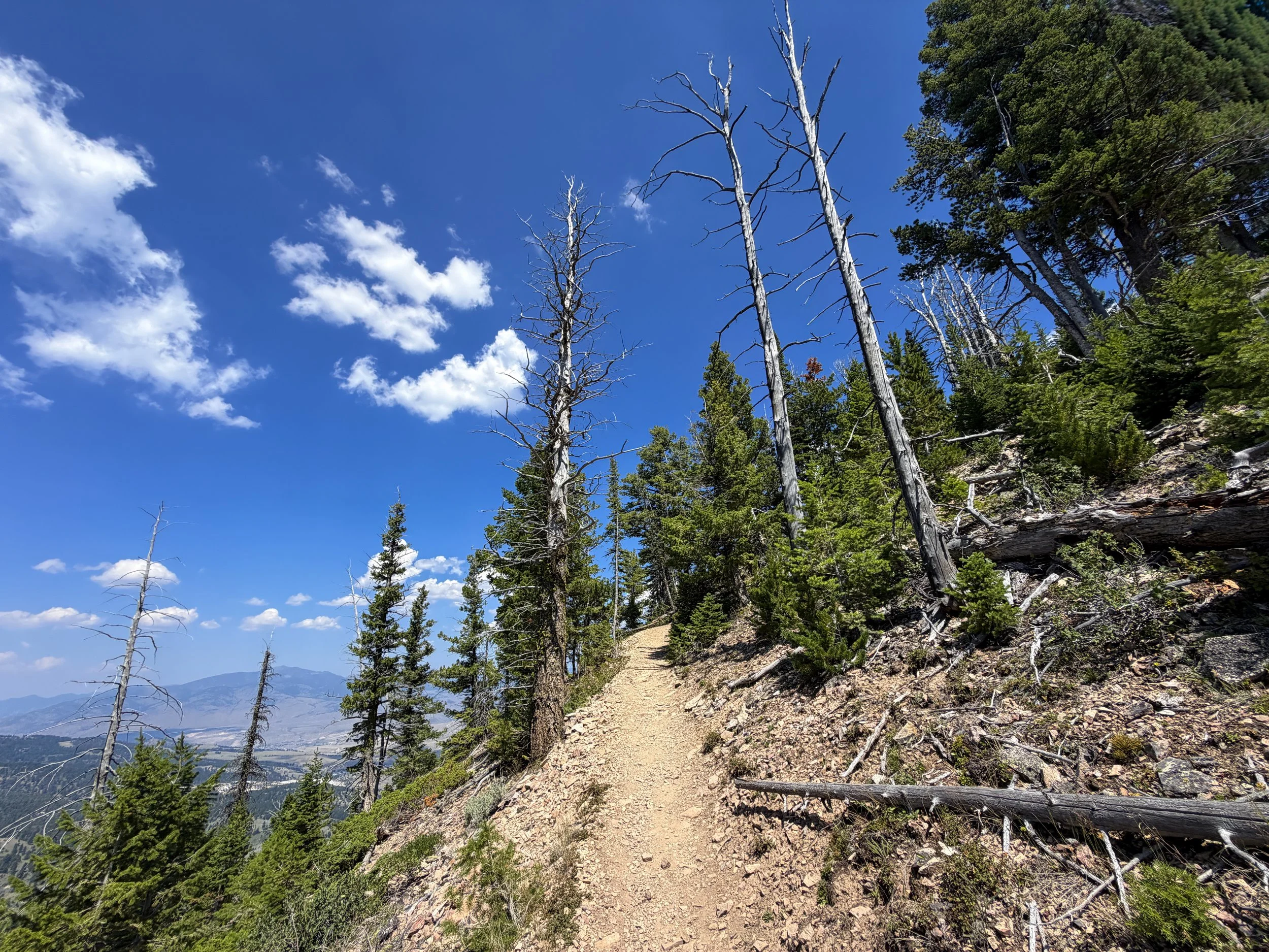 Bunsen Peak Trail Yellowstone National Park Wyoming