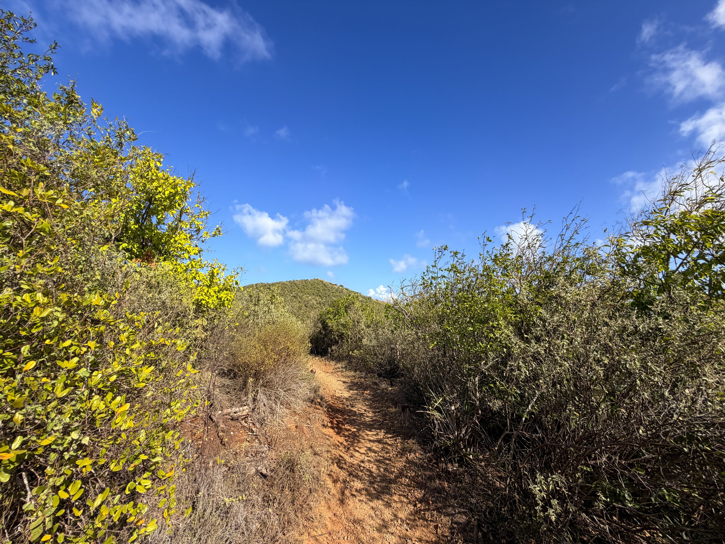 Rams Head Hike Virgin Islands National Park