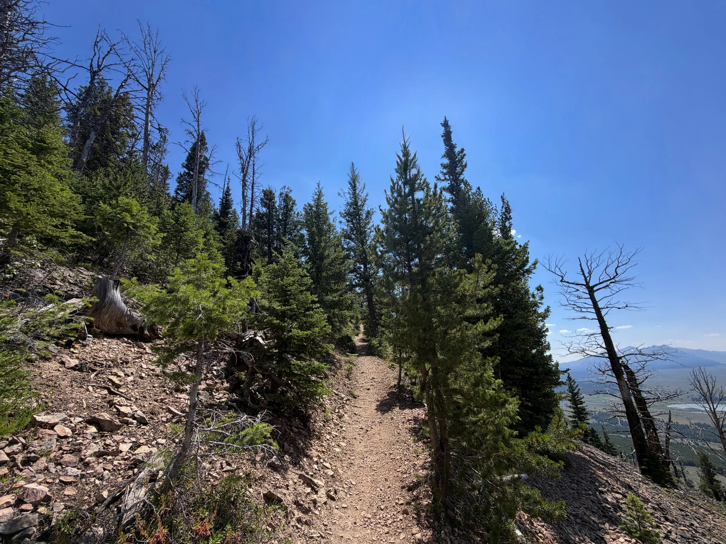 Bunsen Peak Trail Yellowstone National Park Wyoming