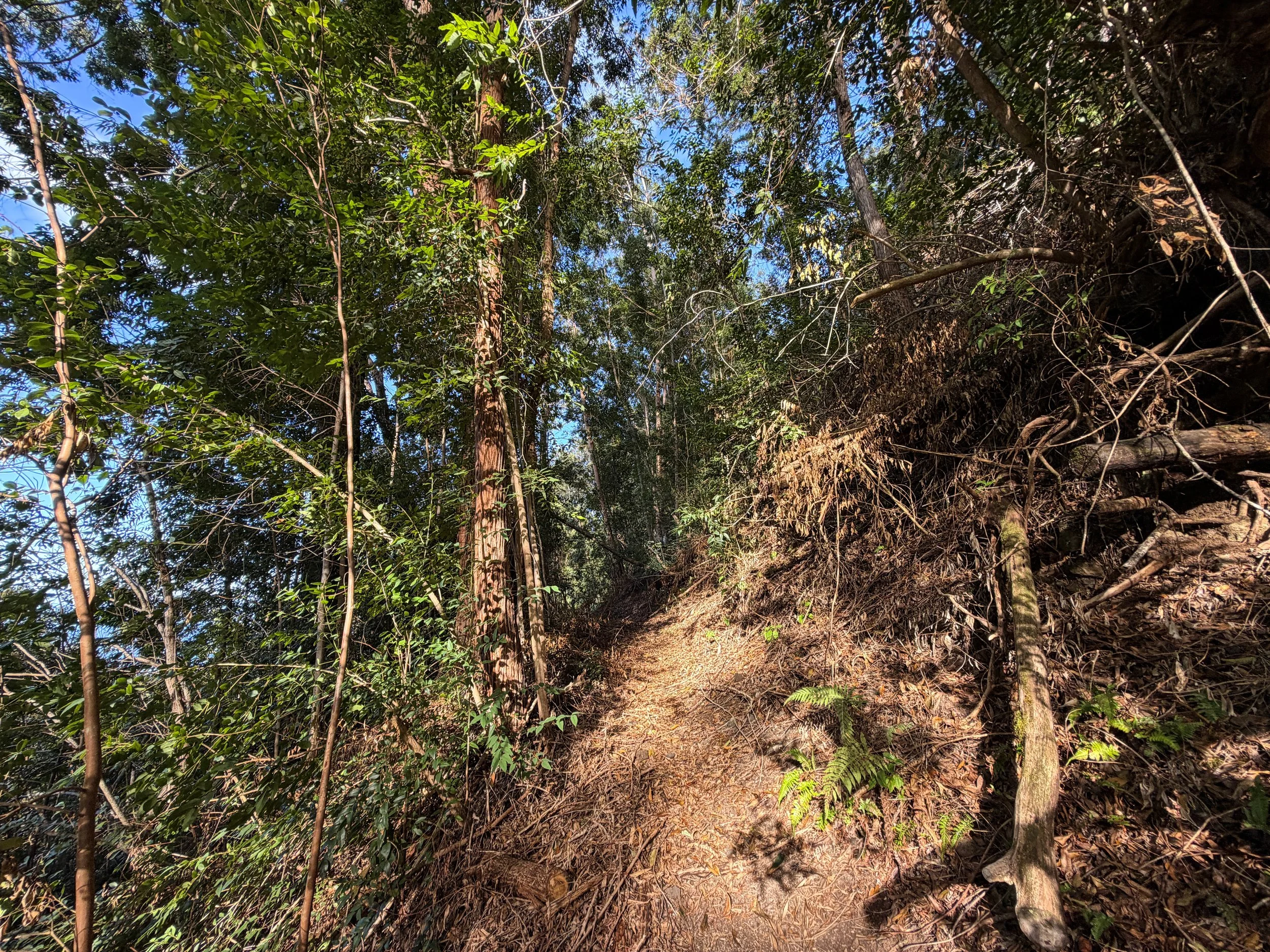 Mokuleia Hike Oahu Hawaii
