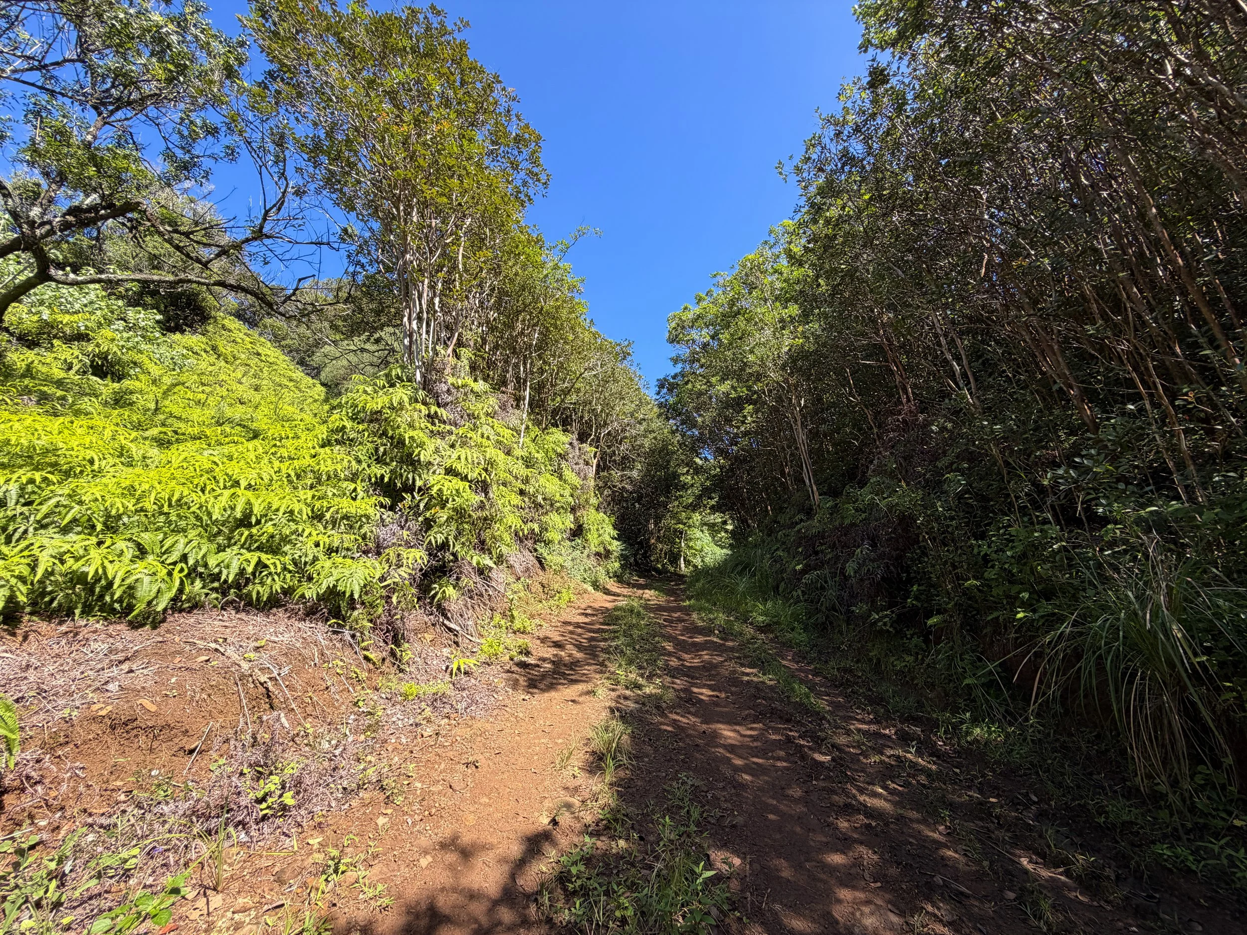 Kulanaahane Trail Oahu Hawaii