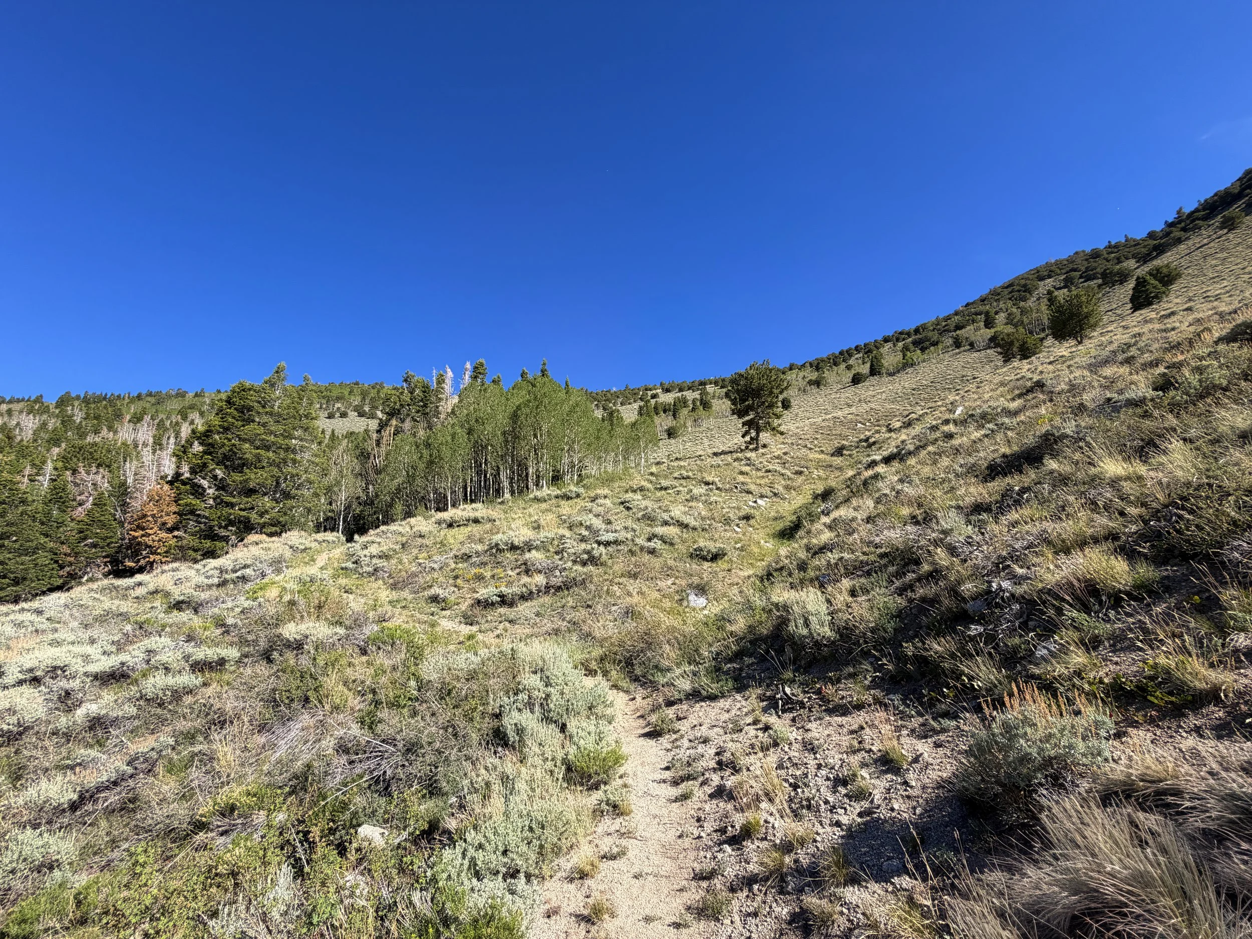 Johnson Lake Hike Great Basin National Park Nevada