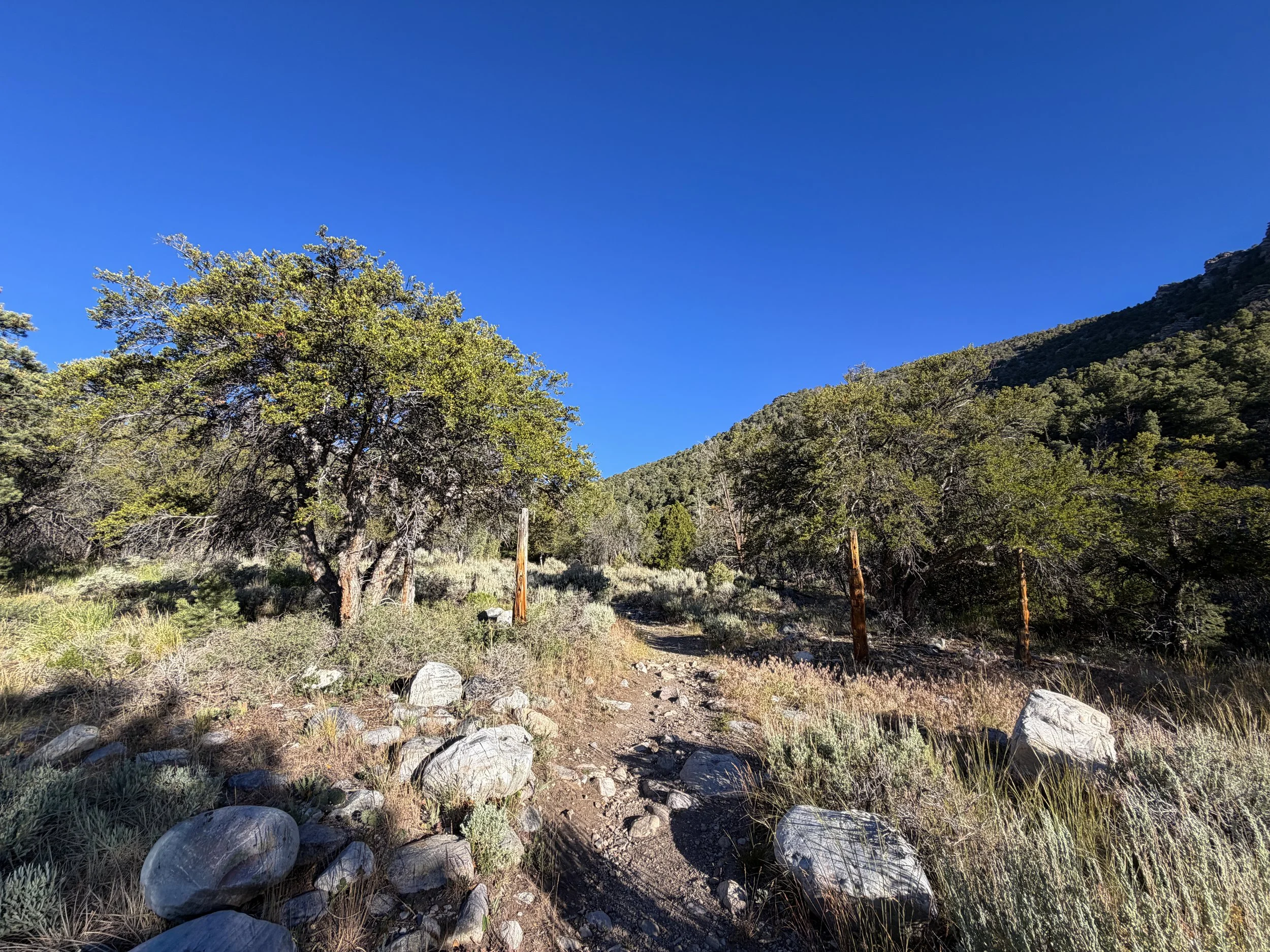 Lehman Creek Trail Great Basin National Park Nevada