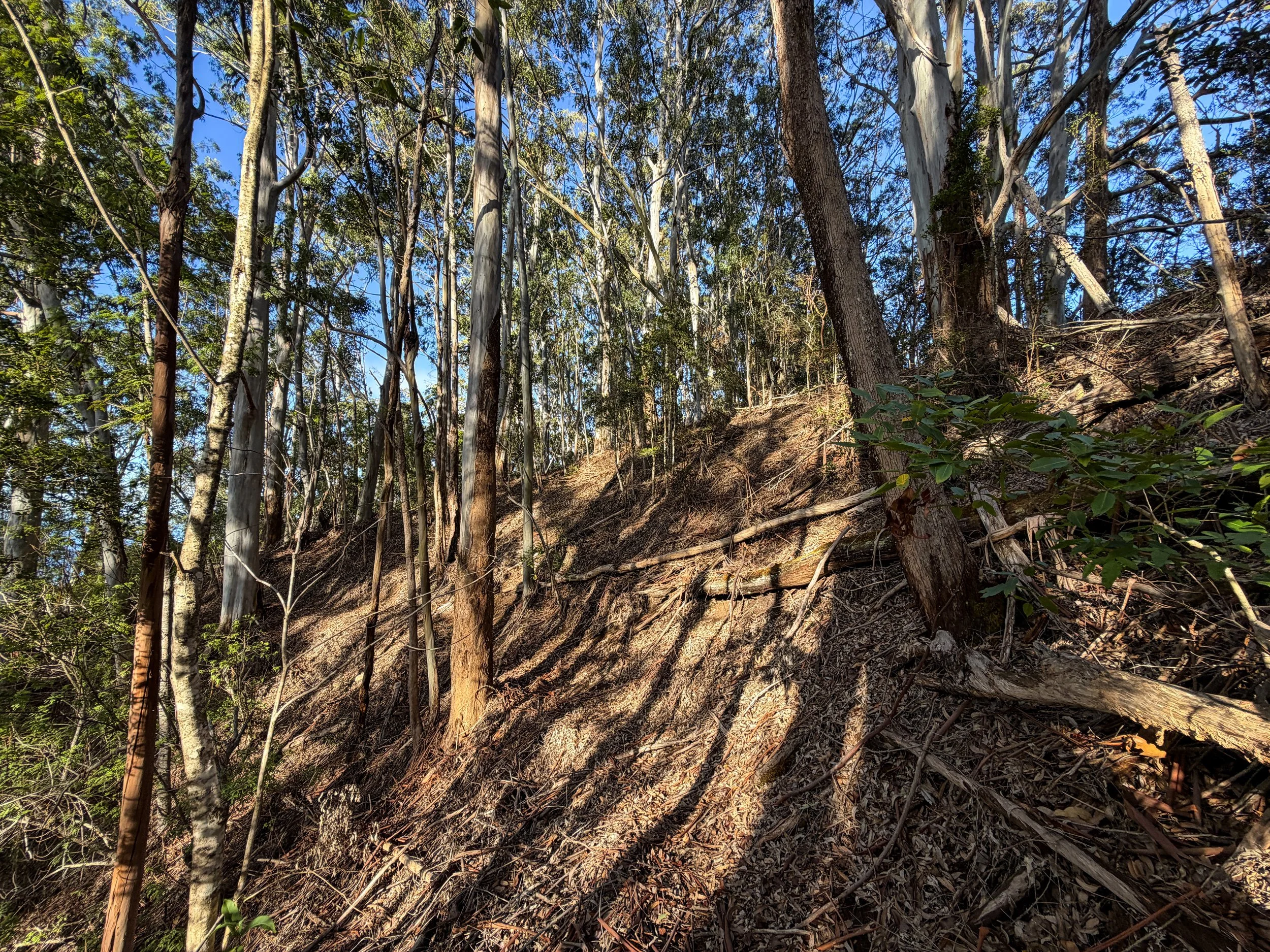 Mokuleia Trail Oahu Hawaii