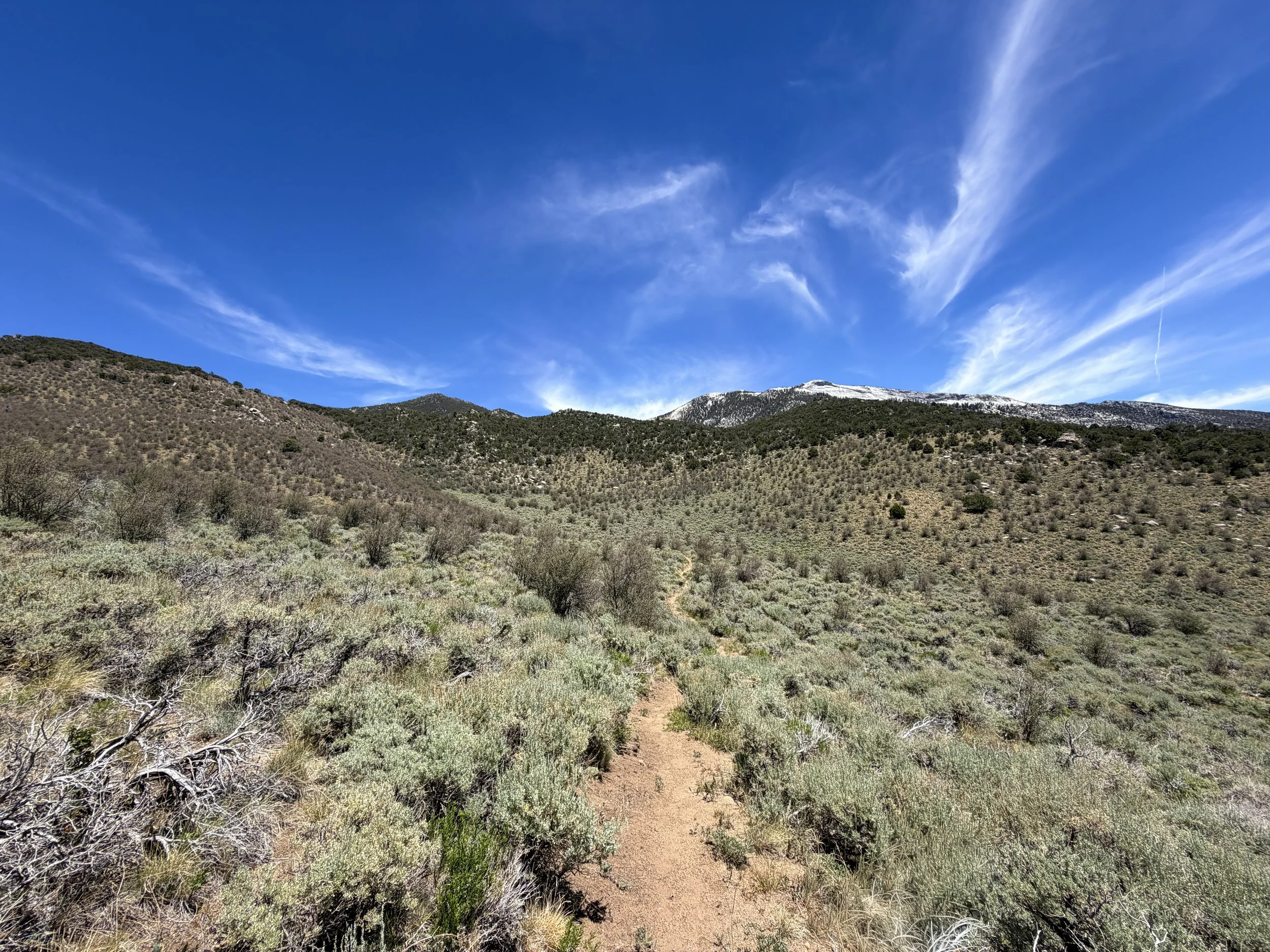 Serviceberry Loop Trail Great Basin National Park Nevada