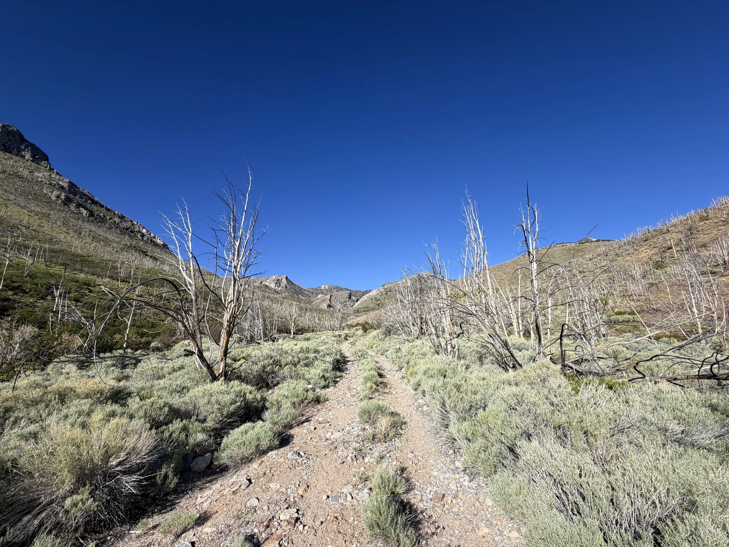 Lexington Arch Trail Great Basin National Park Nevada
