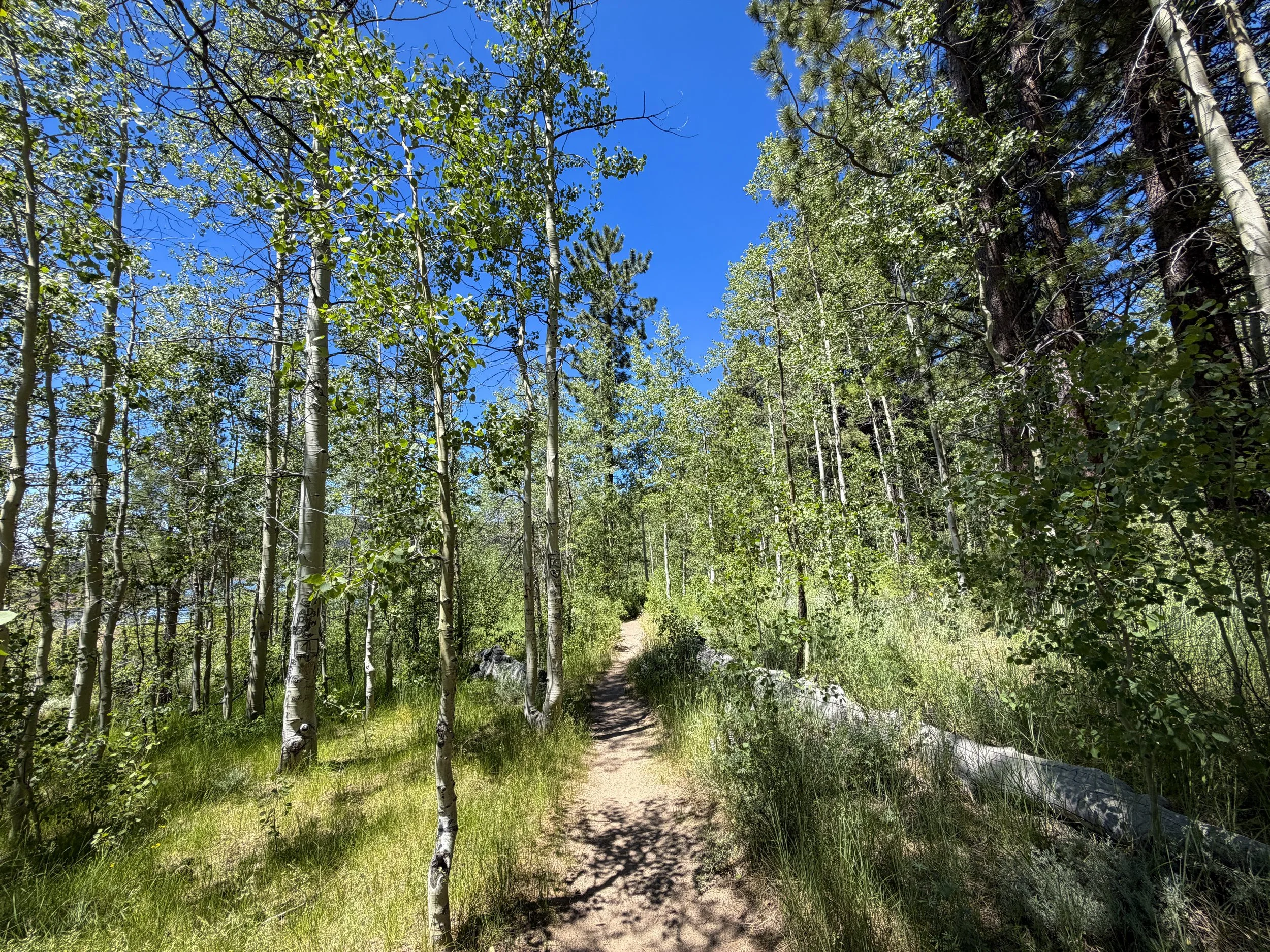 Spooner Lake Trail Lake Tahoe Nevada
