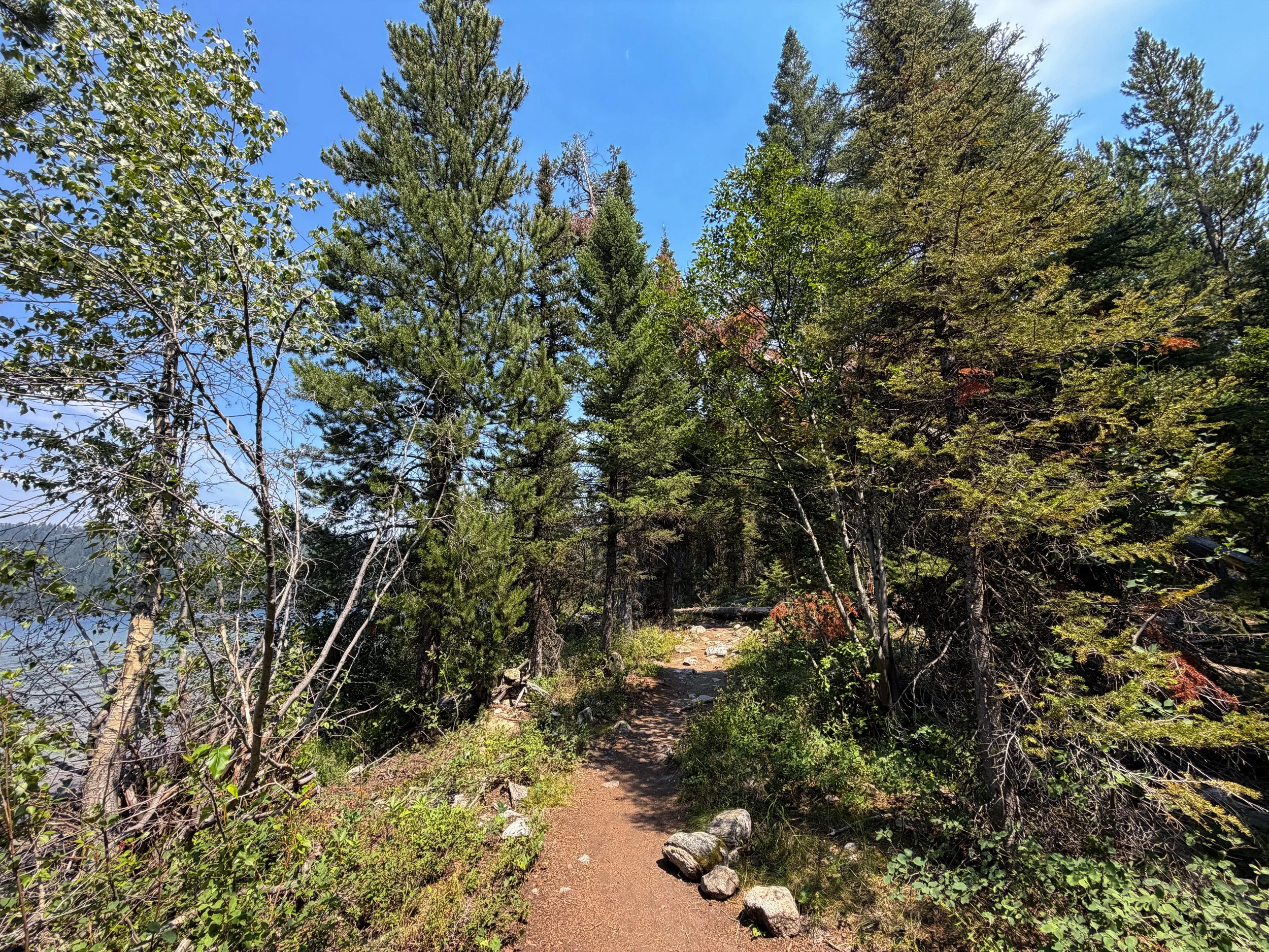 Phelps Lake Loop Trail Grand Teton National Park Wyoming