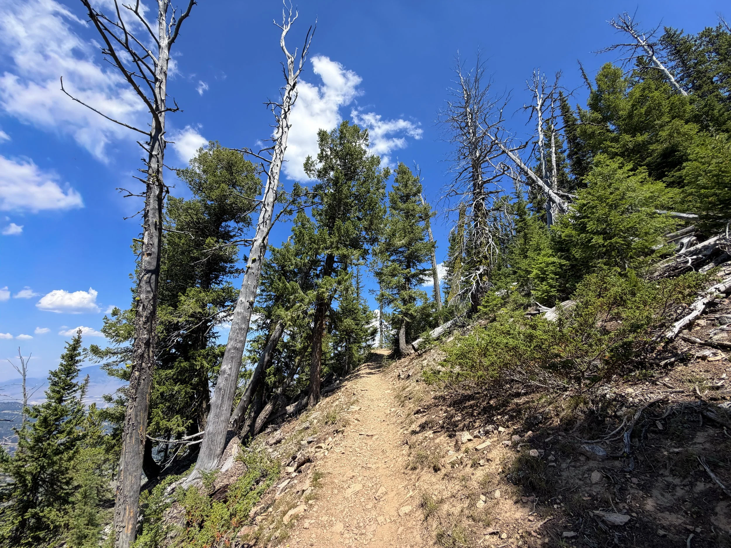 Bunsen Peak Trail Yellowstone National Park Wyoming