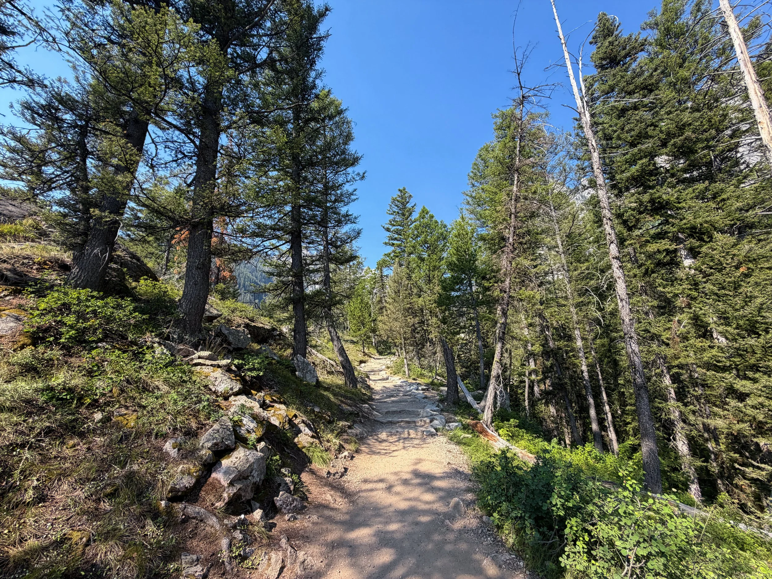 Inspiration Point Trail Grand Teton National Park Wyoming