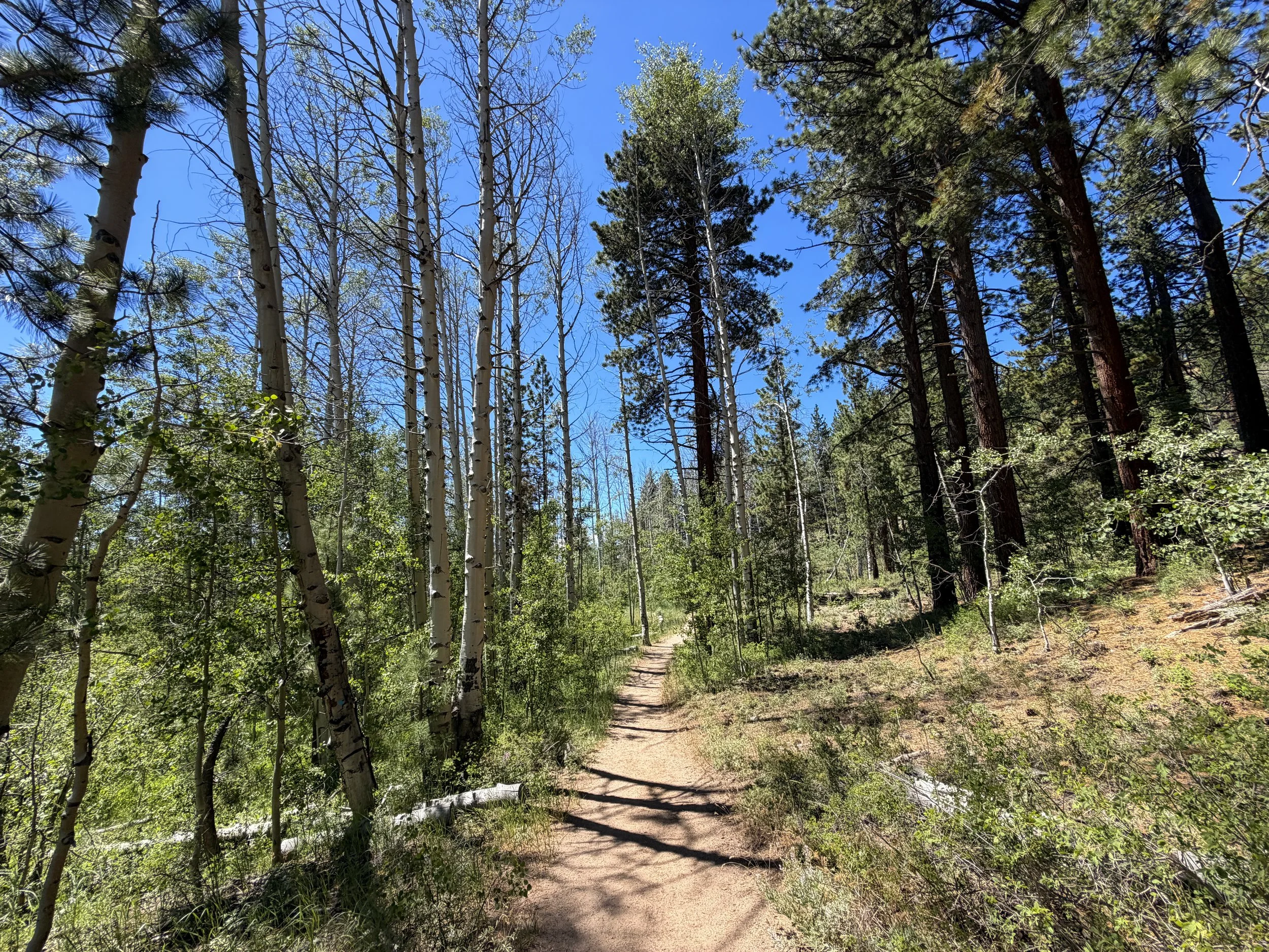 Spooner Lake Loop Trail Lake Tahoe Nevada