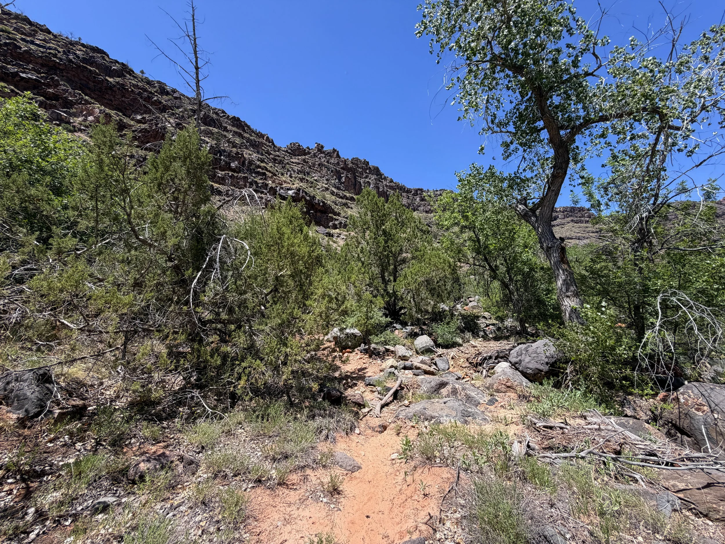 Grapevine Trail to Left Fork Falls Zion National Park Utah