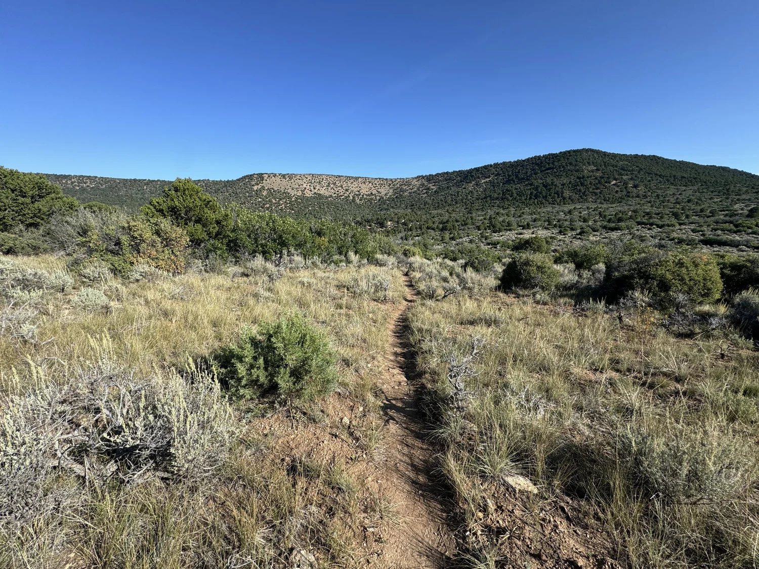 Hiking the Pinyon Draw Trail (S.O.B. Draw) in Black Canyon of the ...