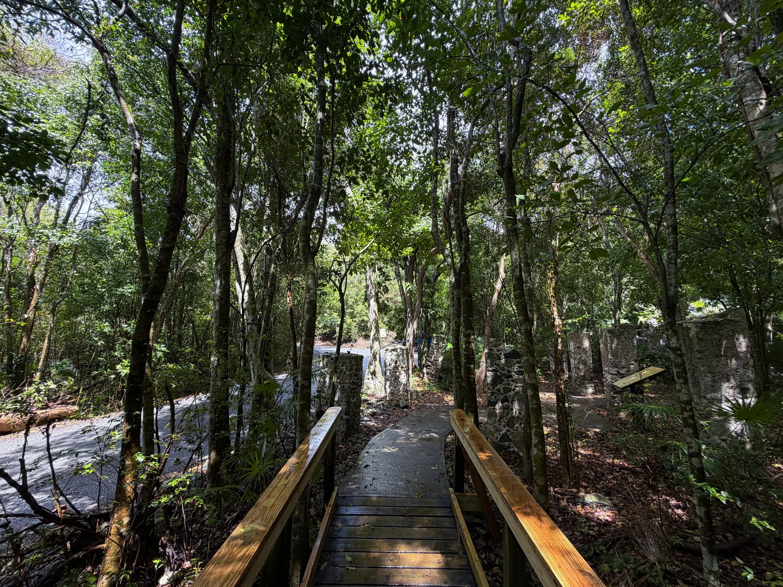 Cinnamon Bay Loop Trail Virgin Islands National Park