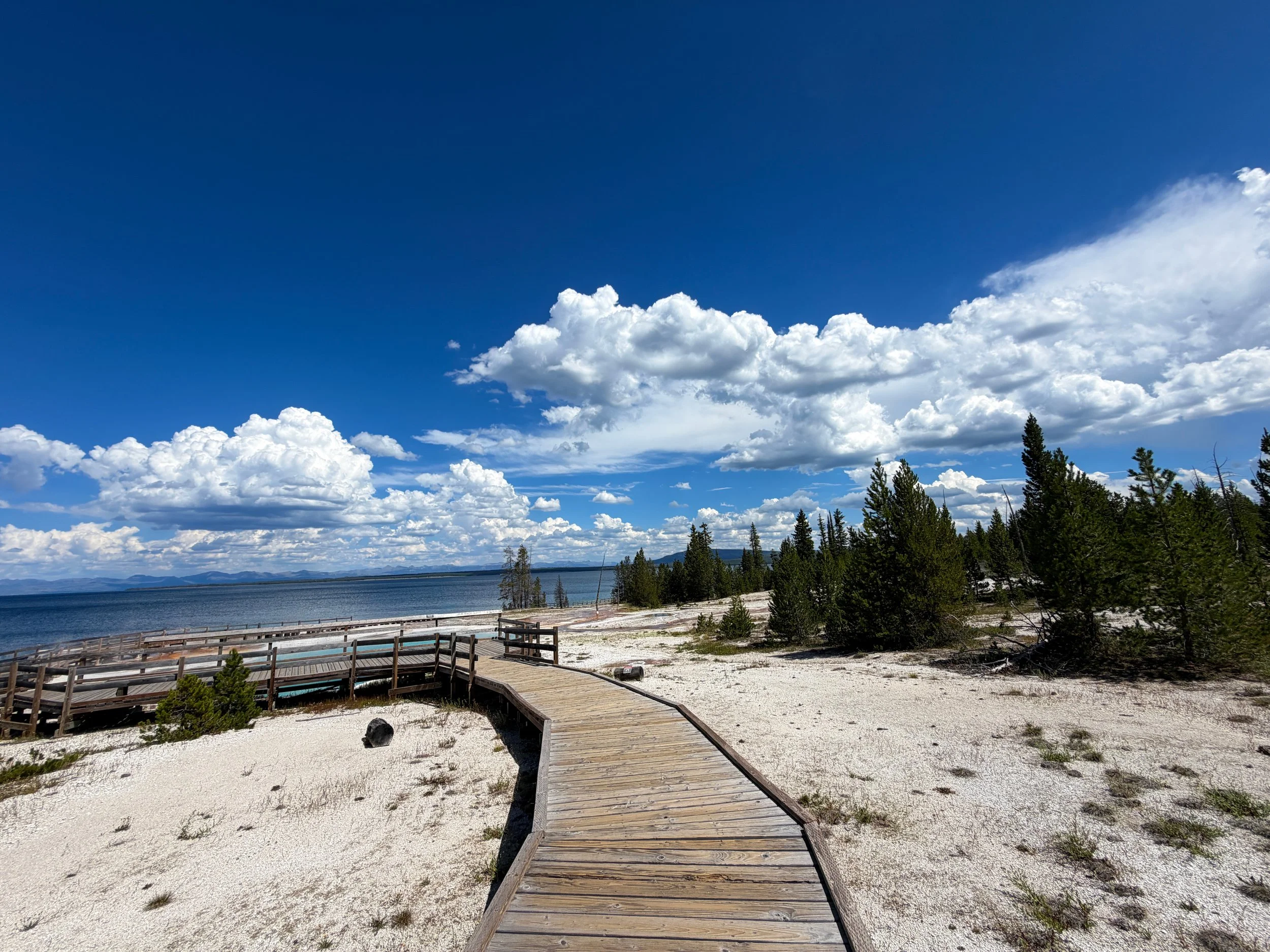 West Thumb Geyser Basin Trail Yellowstone National Park Wyoming