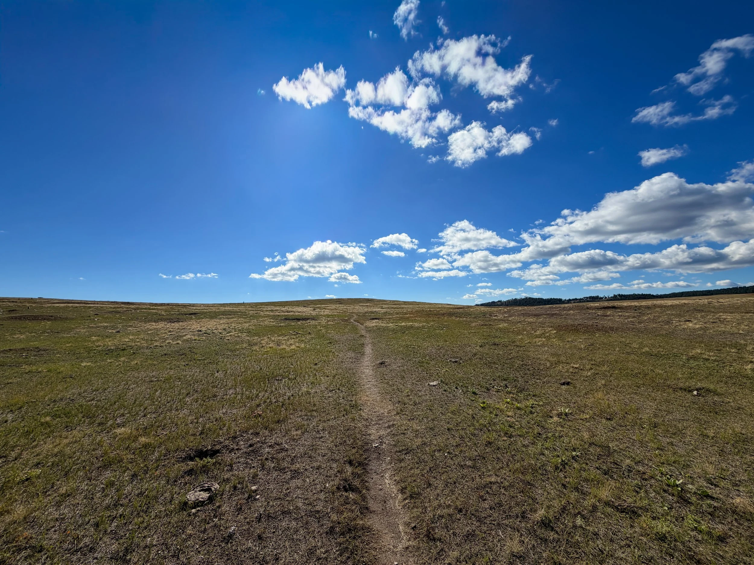 Lookout Point Loop Trail Wind Cave National Park South Dakota
