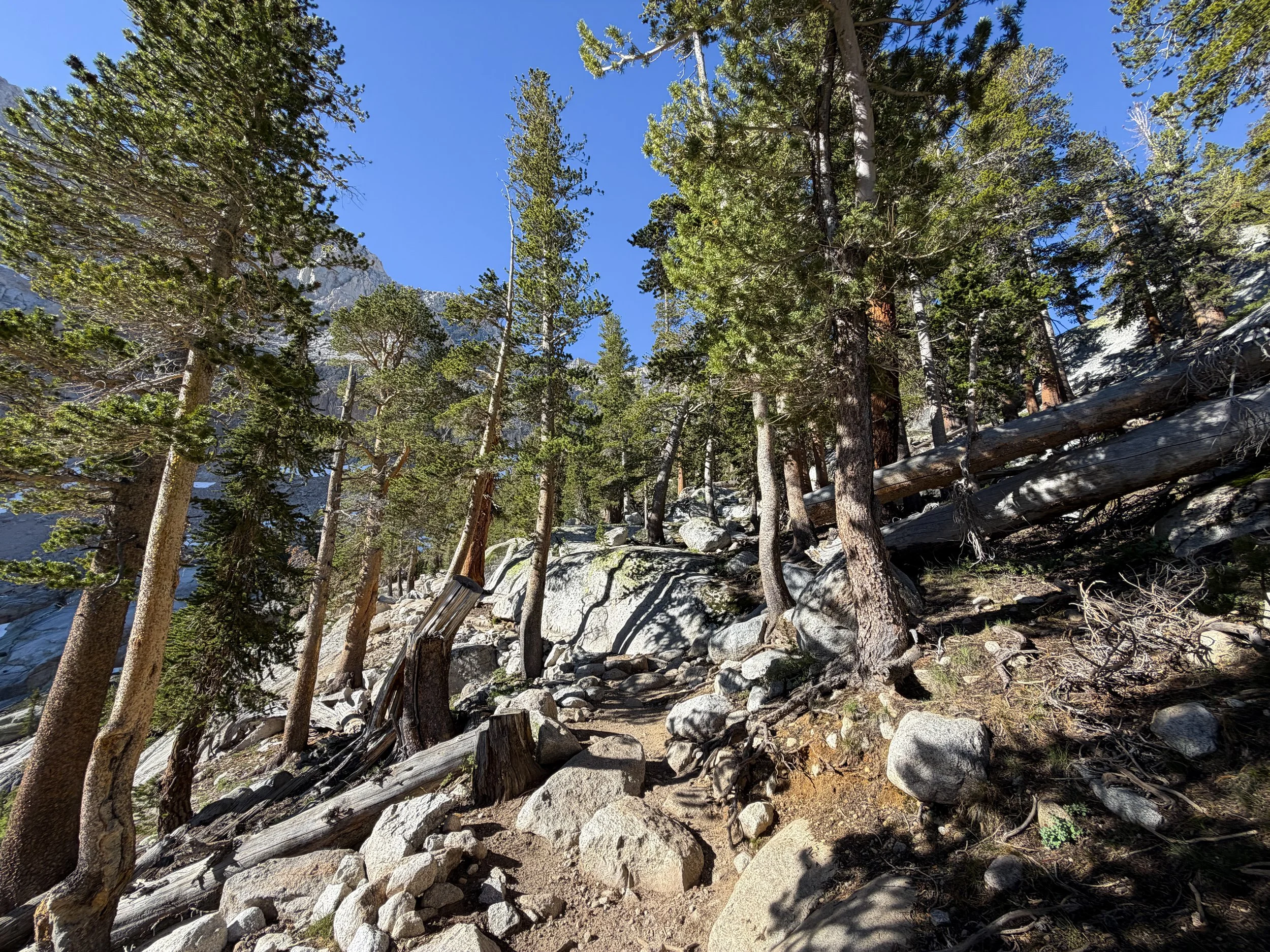 Mount Whitney Trail California