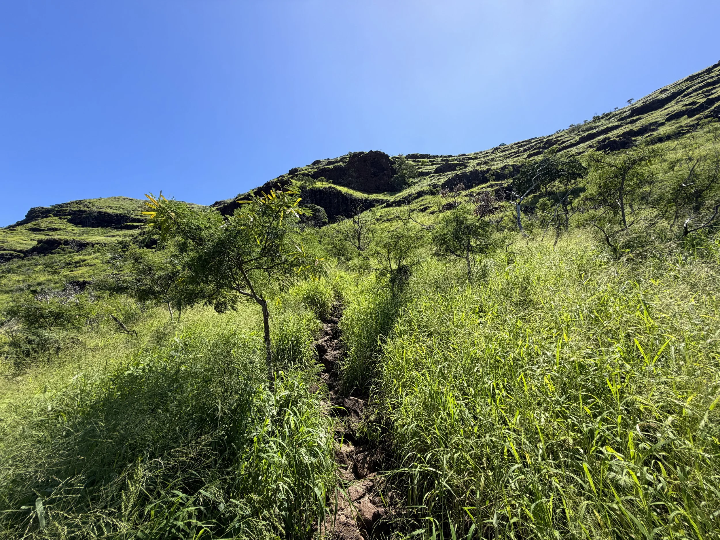 Puu O Hulu Hike Oahu Hawaii
