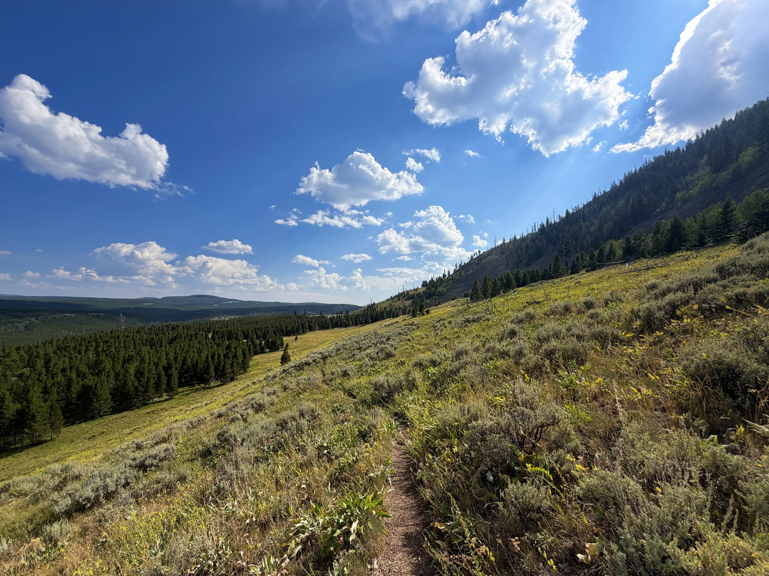 Bunsen Peak Trail Yellowstone National Park Wyoming