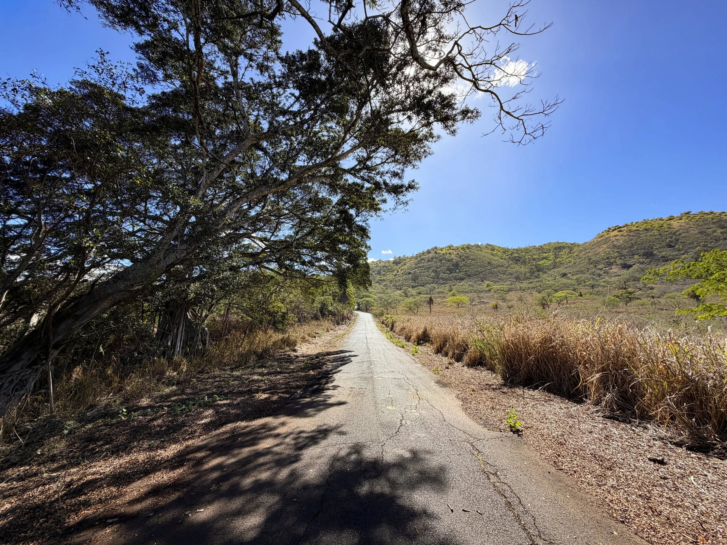 Mokuleia Access Road Trail Oahu Hawaii