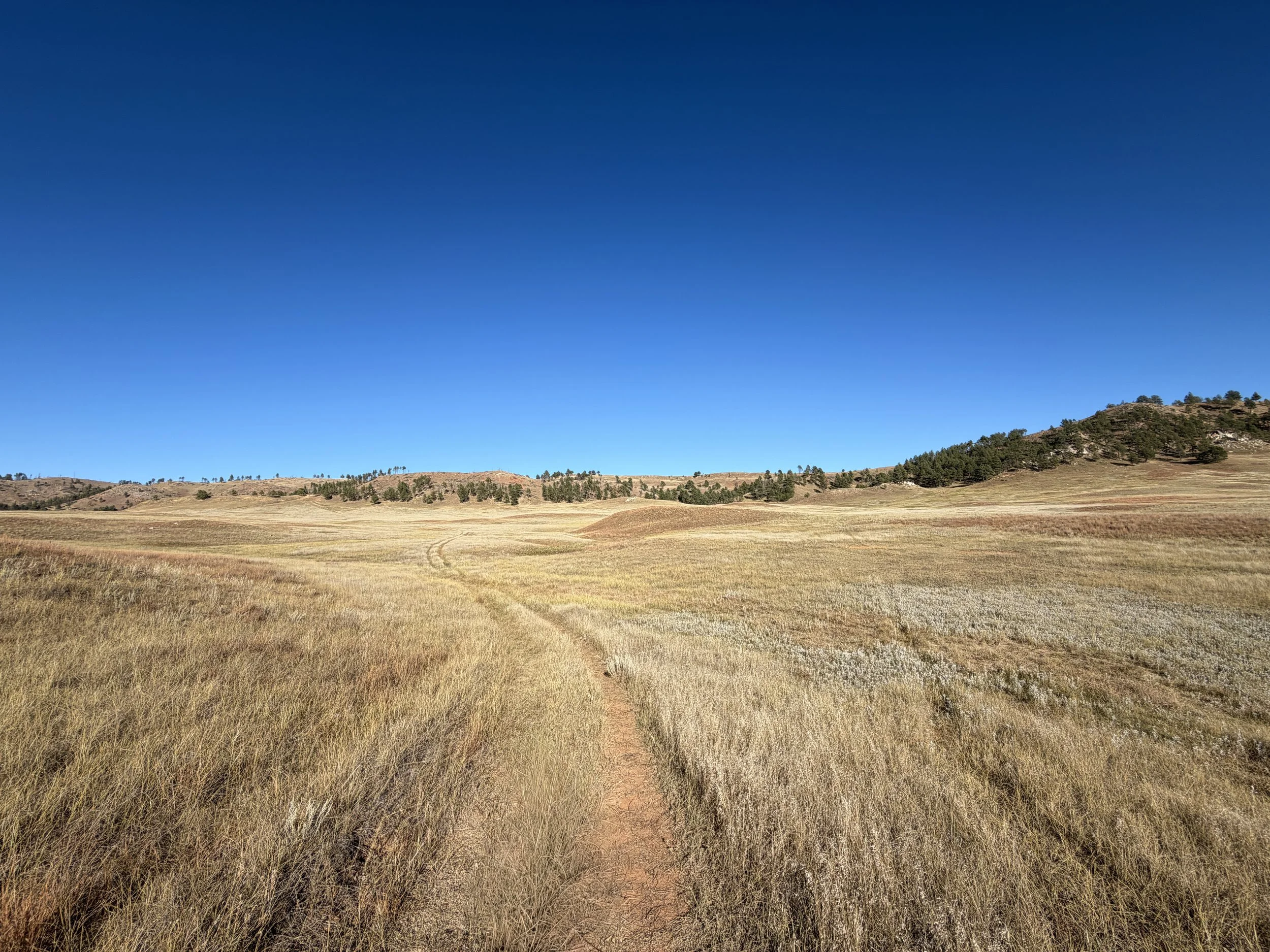 Boland Ridge Trail Wind Cave National Park South Dakota