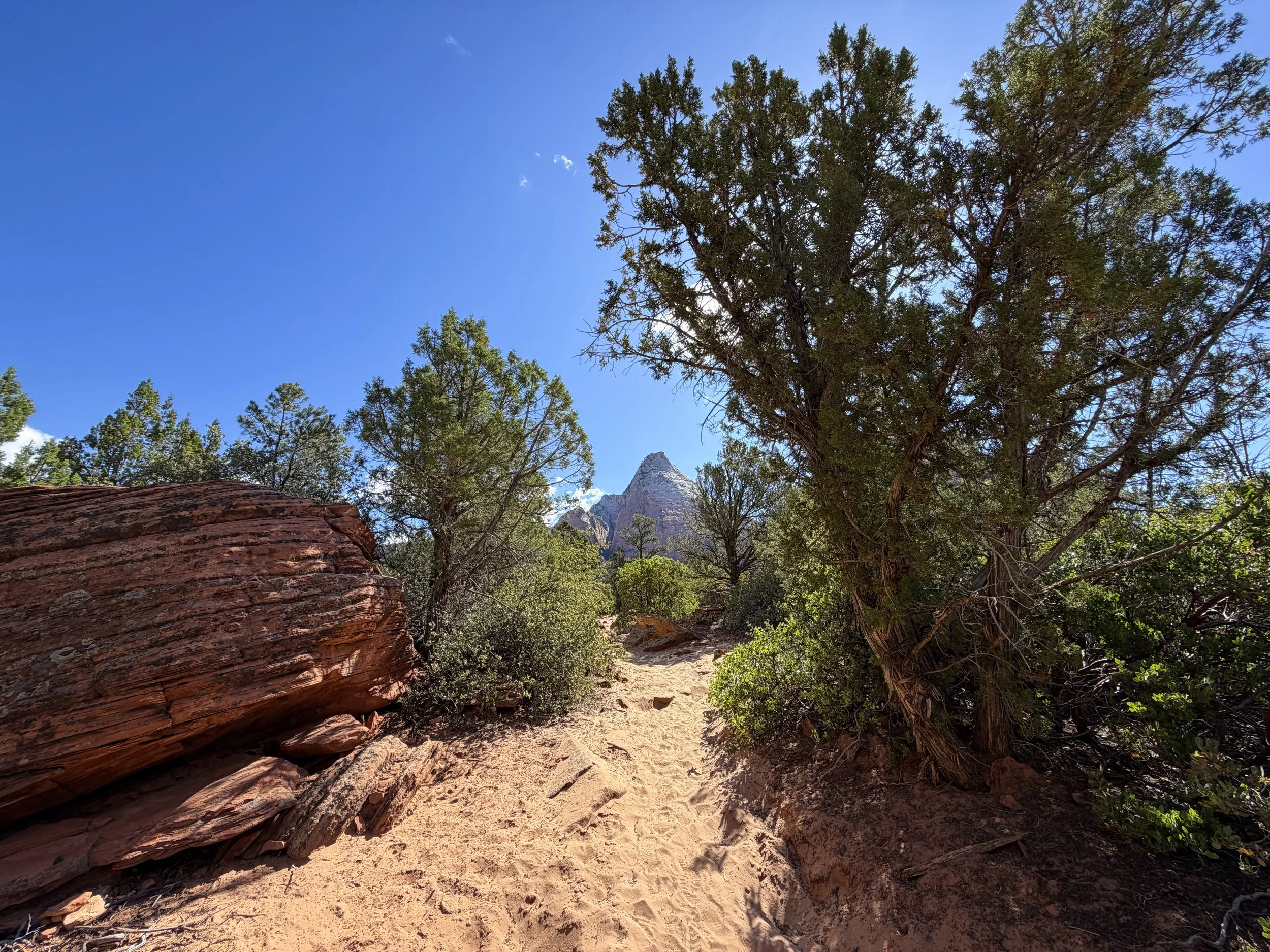 Sand Bench Trail Zion National Park Utah