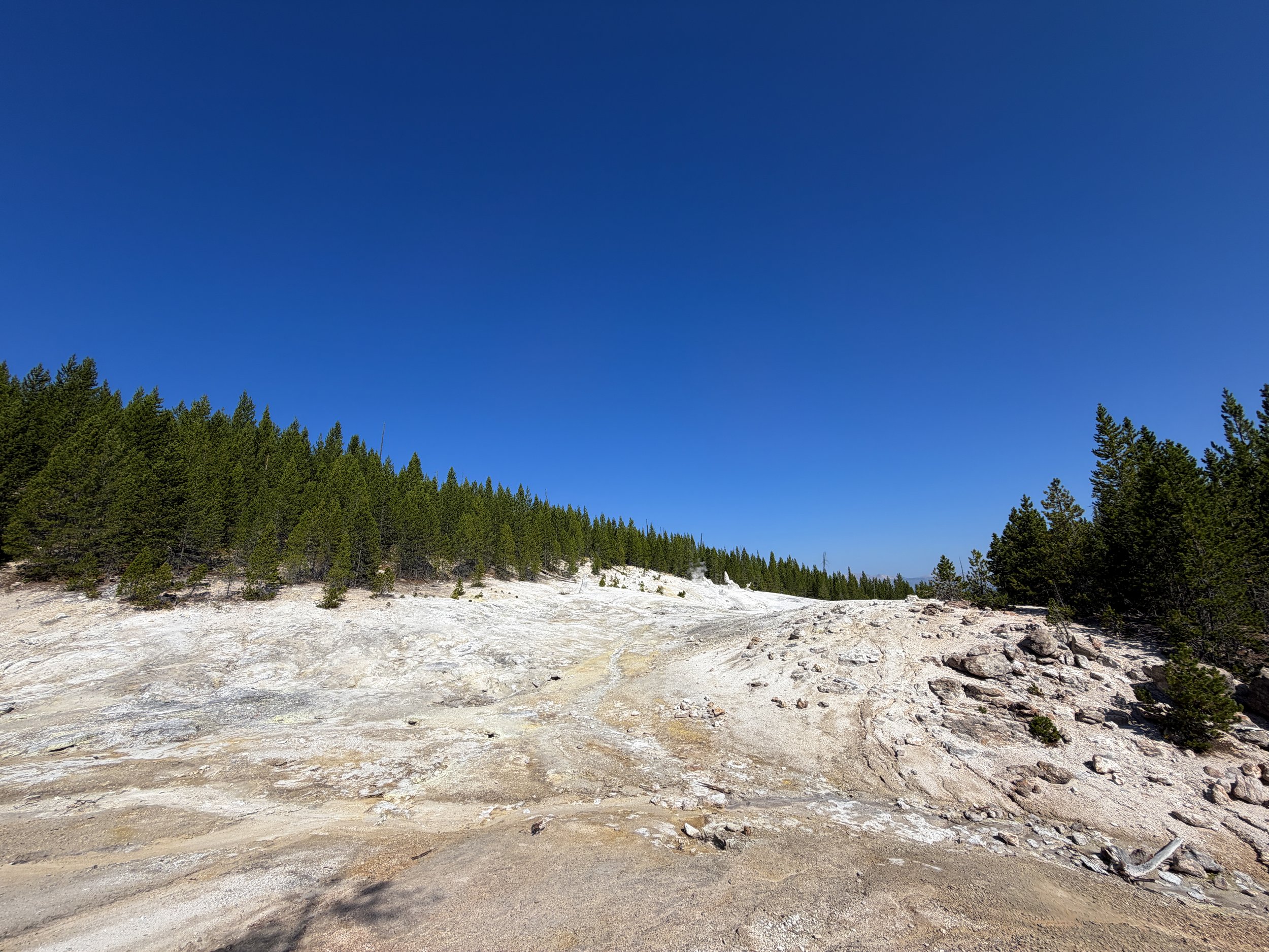 Monument Geyser Basin Yellowstone National Park Wyoming