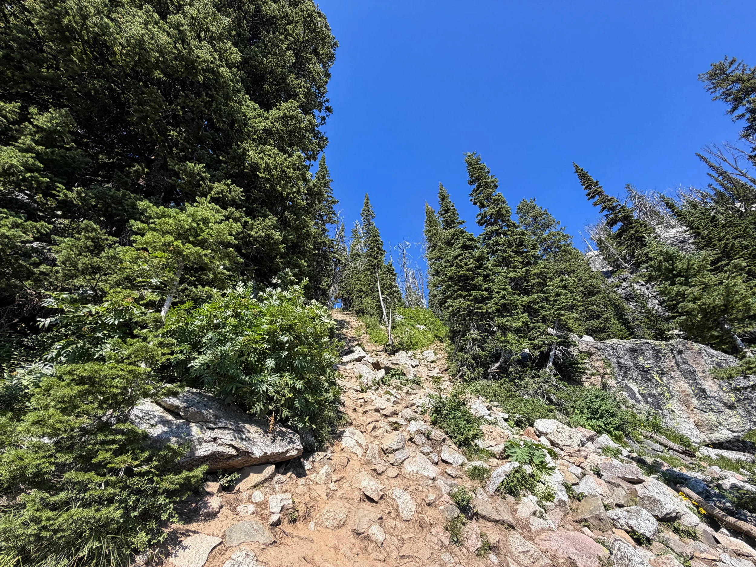 Delta Lake Trail Scramble Grand Teton National Park Wyoming