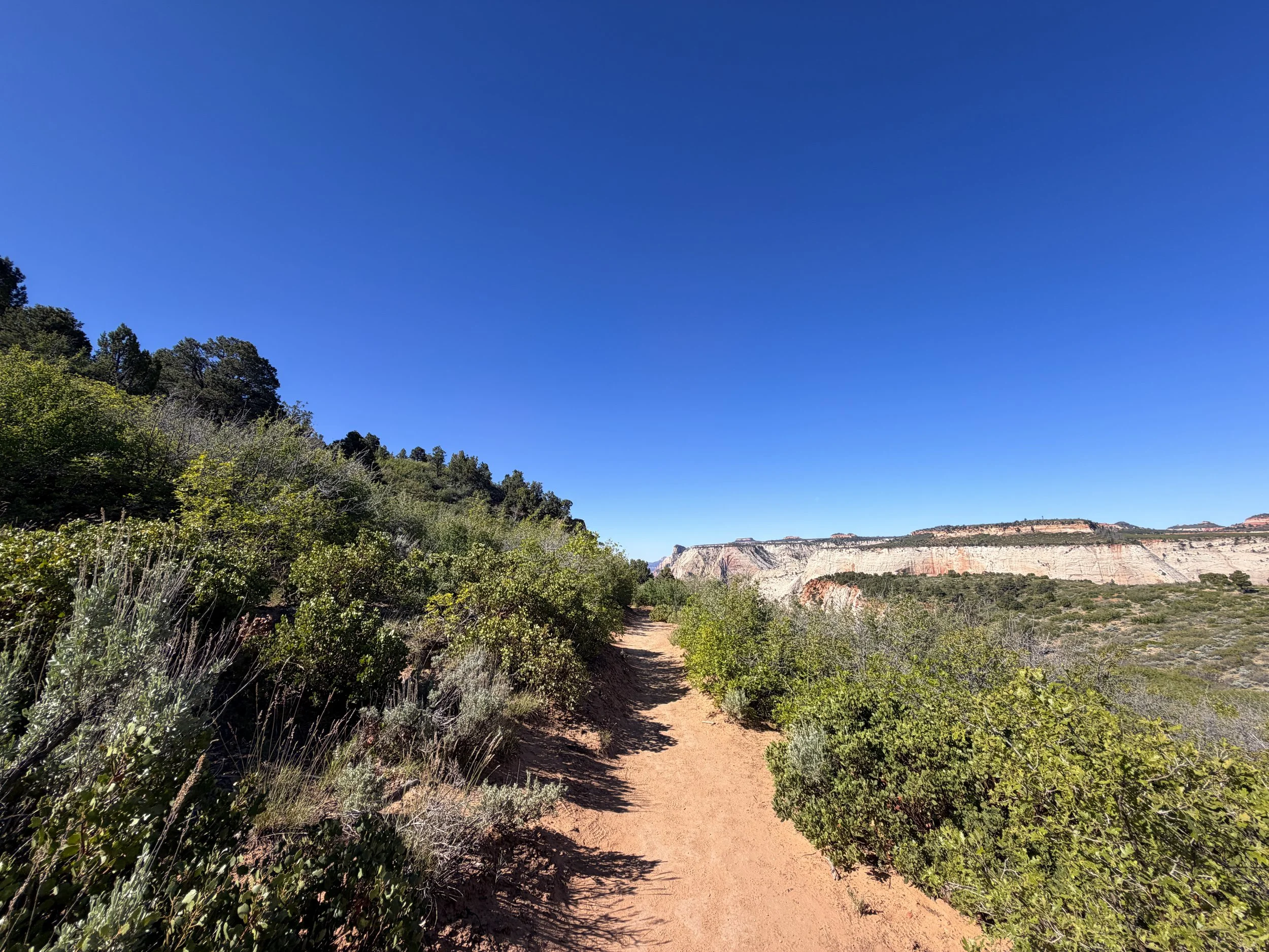 East Mesa Trail to Observation Point Trail Zion National Park Utah