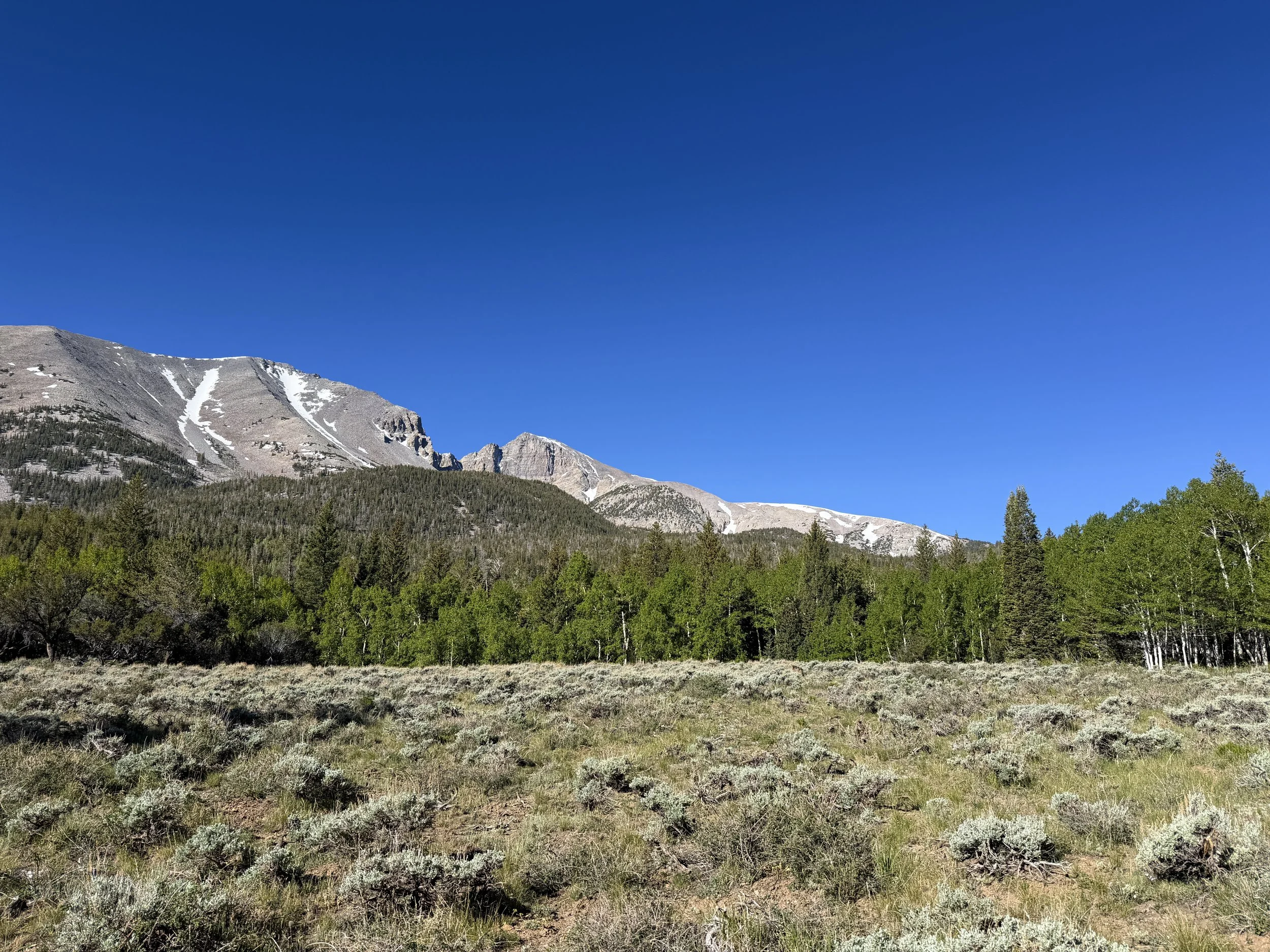 Lehman Creek Trail Great Basin National Park Nevada