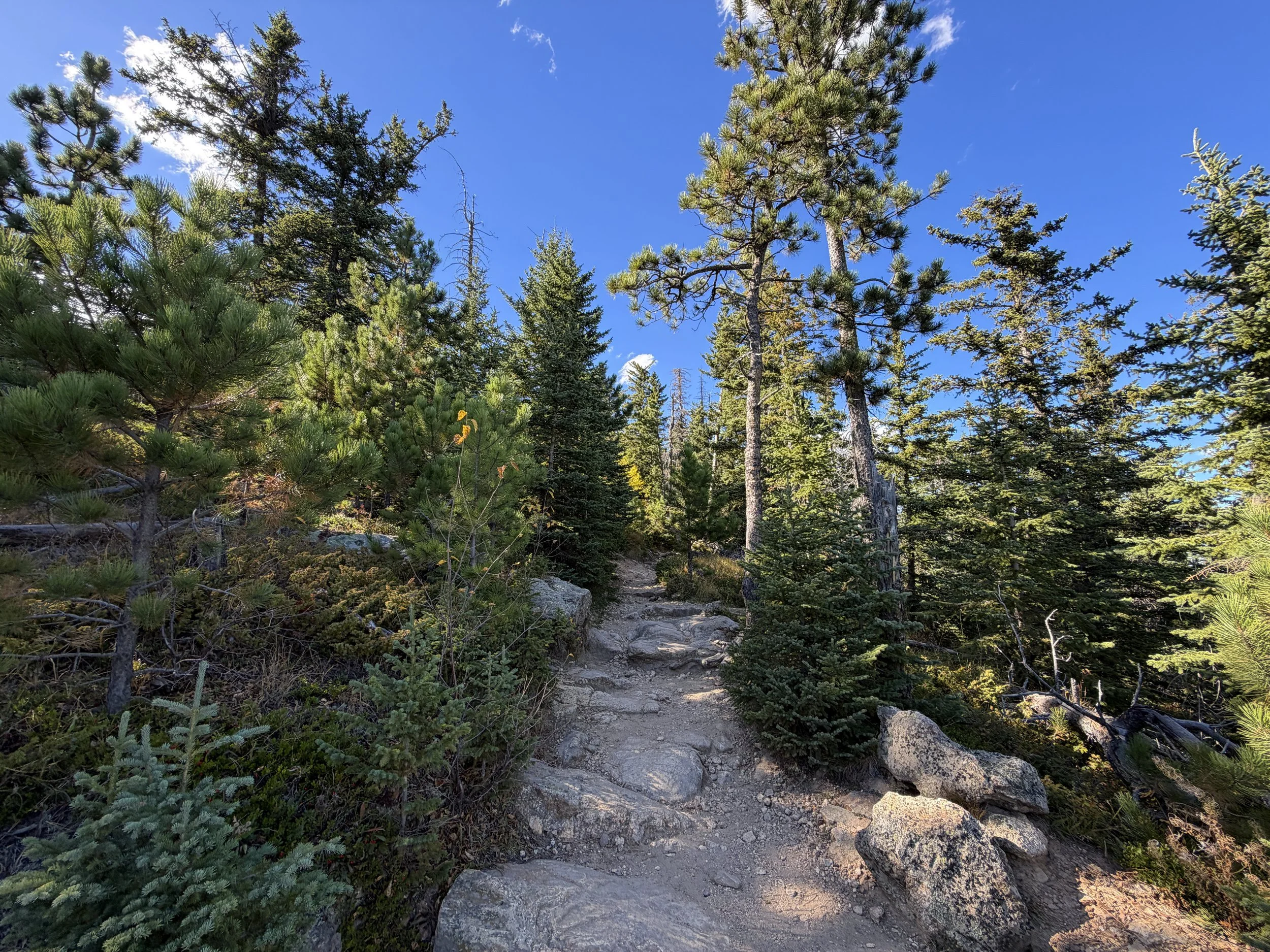Black Elk Peak Trail to Harney Peak Lookout Black Hills South Dakota