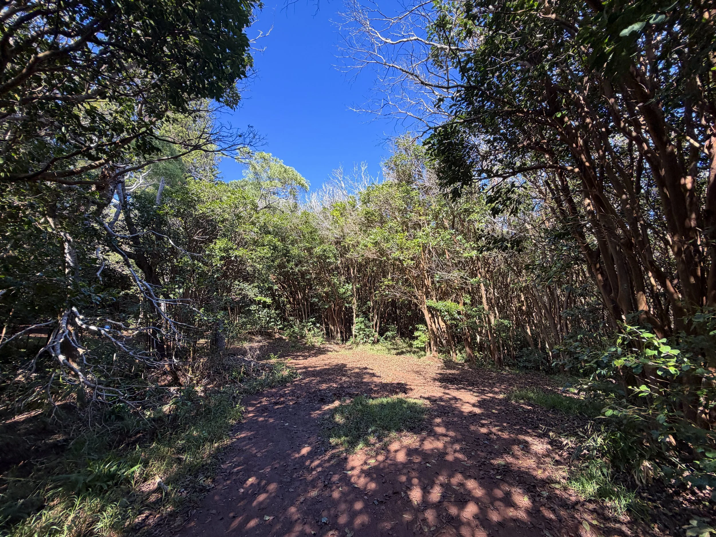Wiliwilinui Ridge Trail to Wailupe Valley Oahu Hawaii
